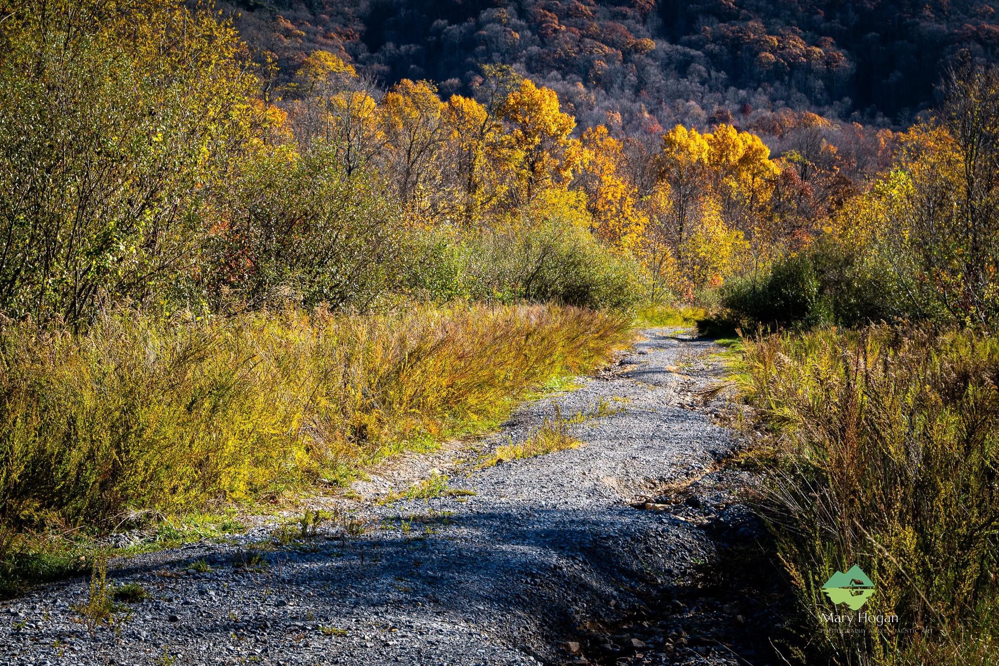 Celebrating the Splendor of Autumn