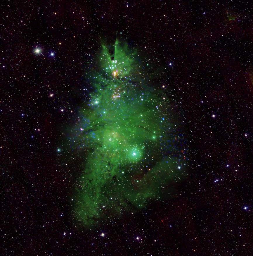 Gazing at the Christmas Tree Cluster: NGC 2264
