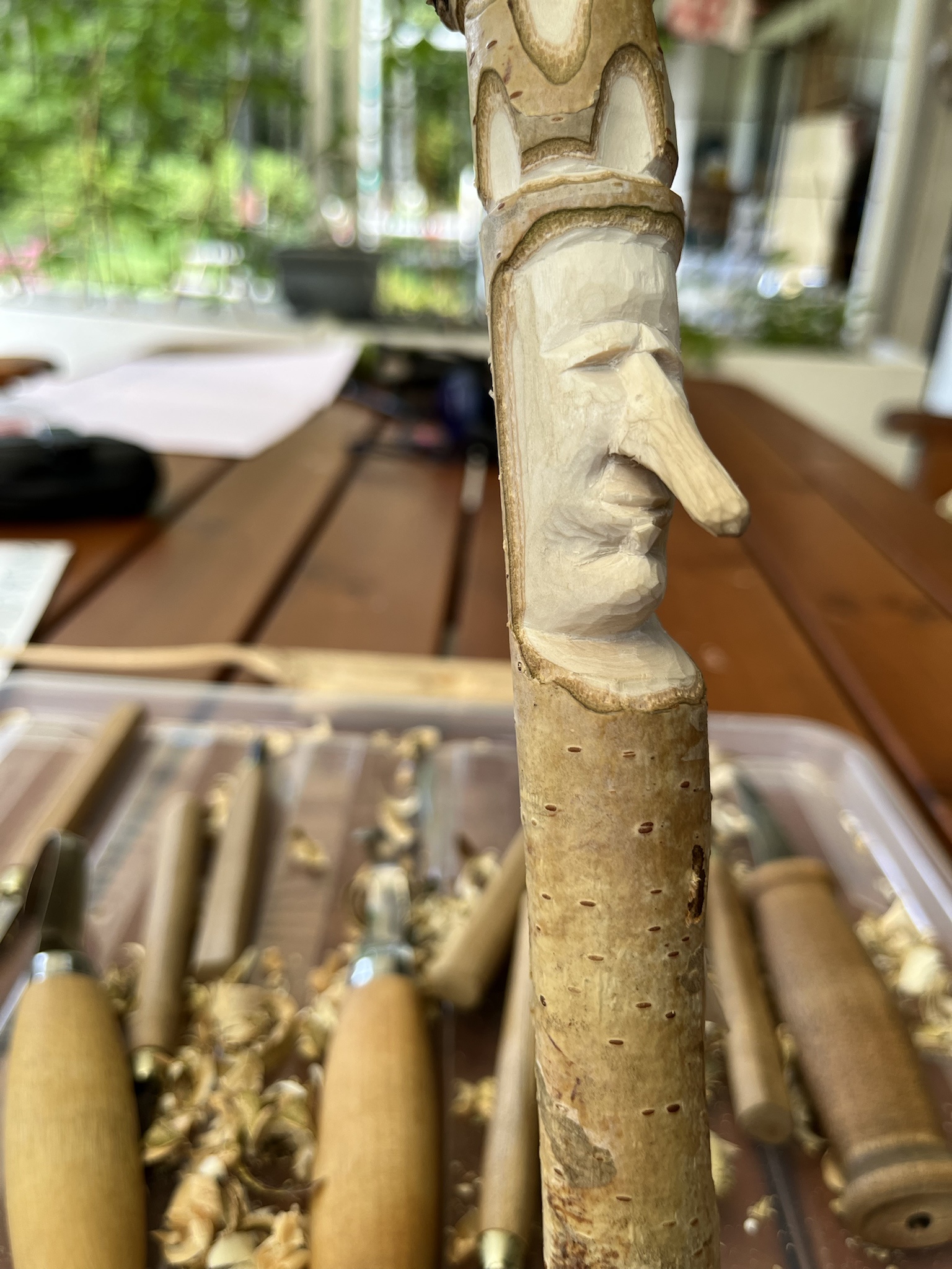 Do You Have Wood? Let’s Find Out!