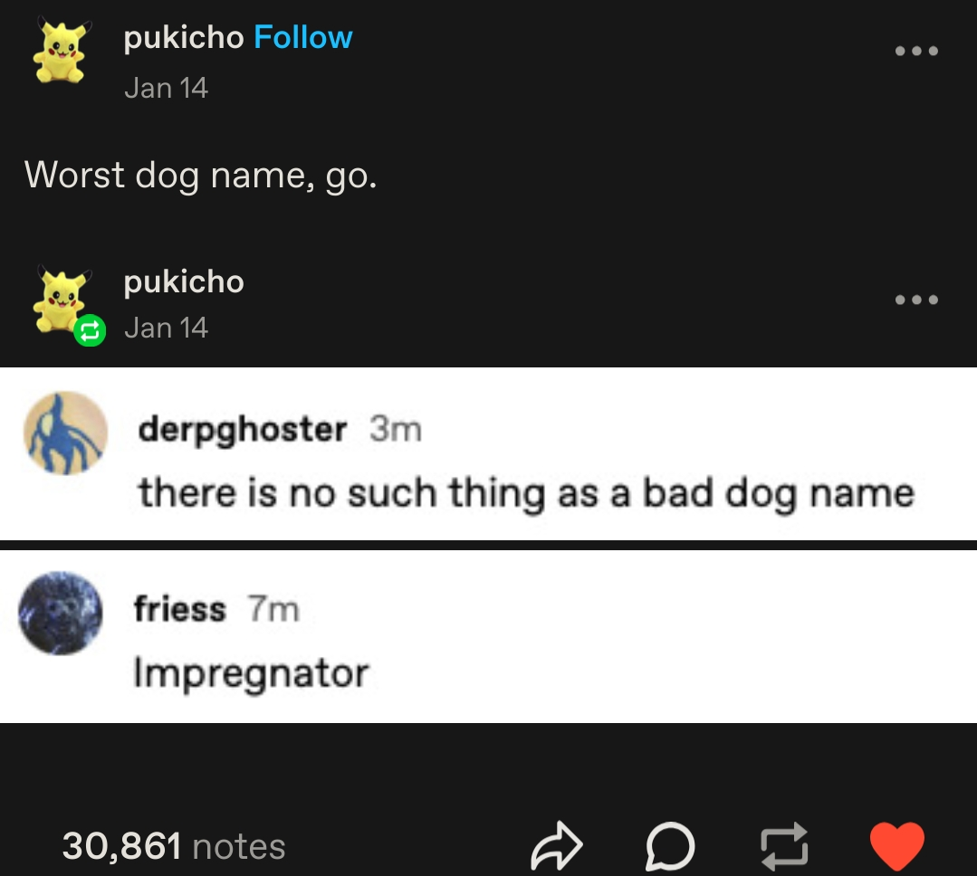 What’s the Worst Dog Name You Can Think Of?