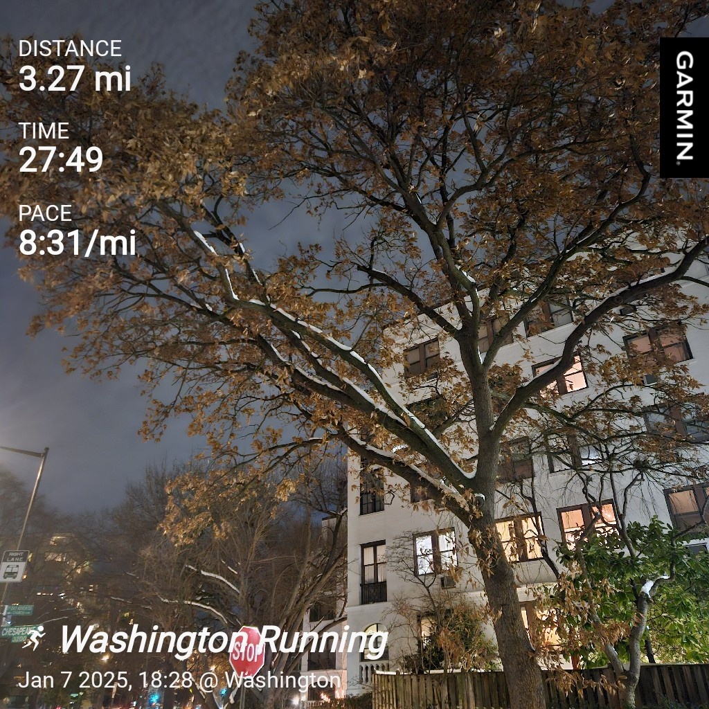 Today's Adventure: The Daily Run