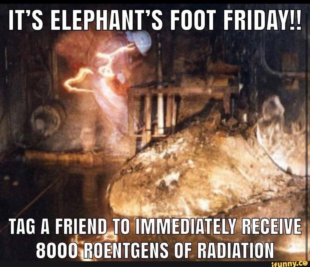 Celebrating Happy Elephants on Foot Friday!