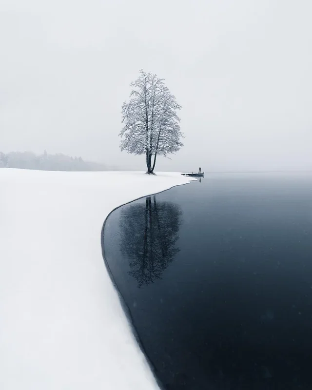 A Serene Scene: Freshly Fallen Snow by the Lake