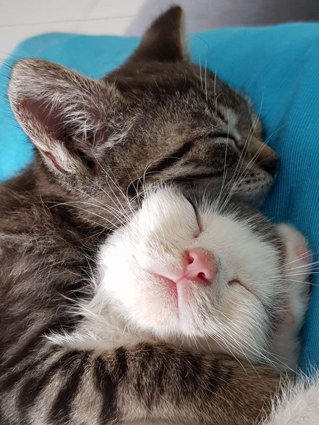 An Abundance of Wholesome Goodness to Brighten Your Day!