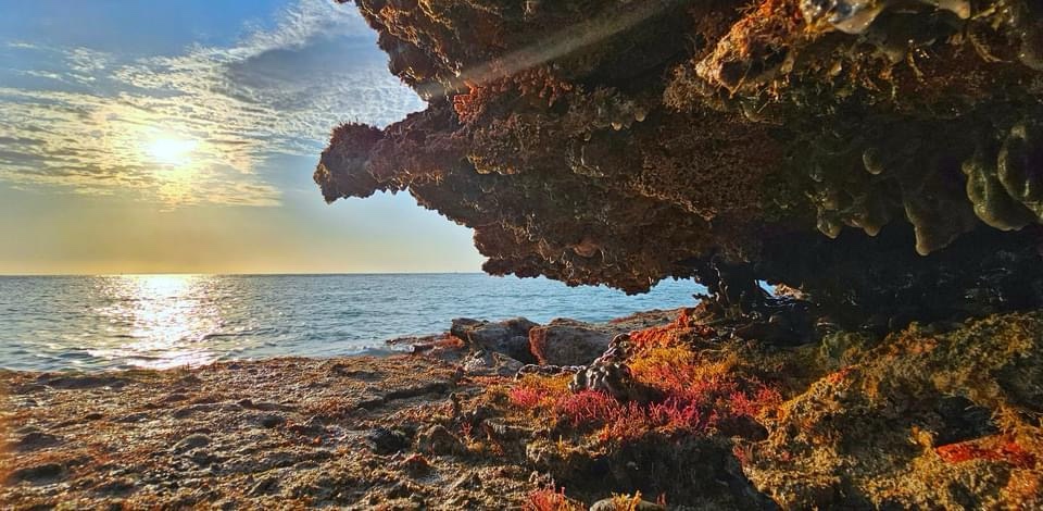 Living the Dream: Beach Life Adventures