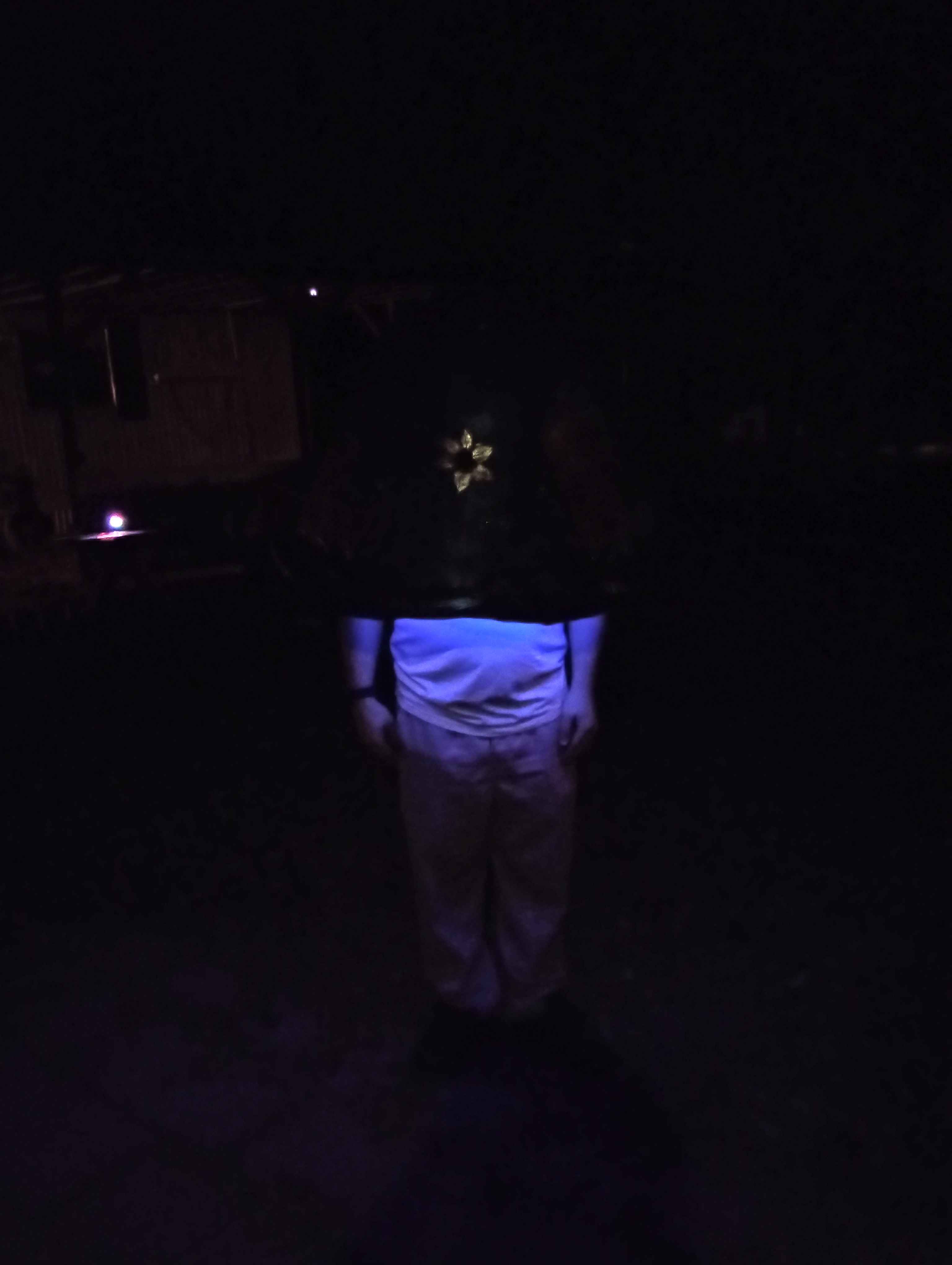 I Dressed Up as a Glowing Mushroom!