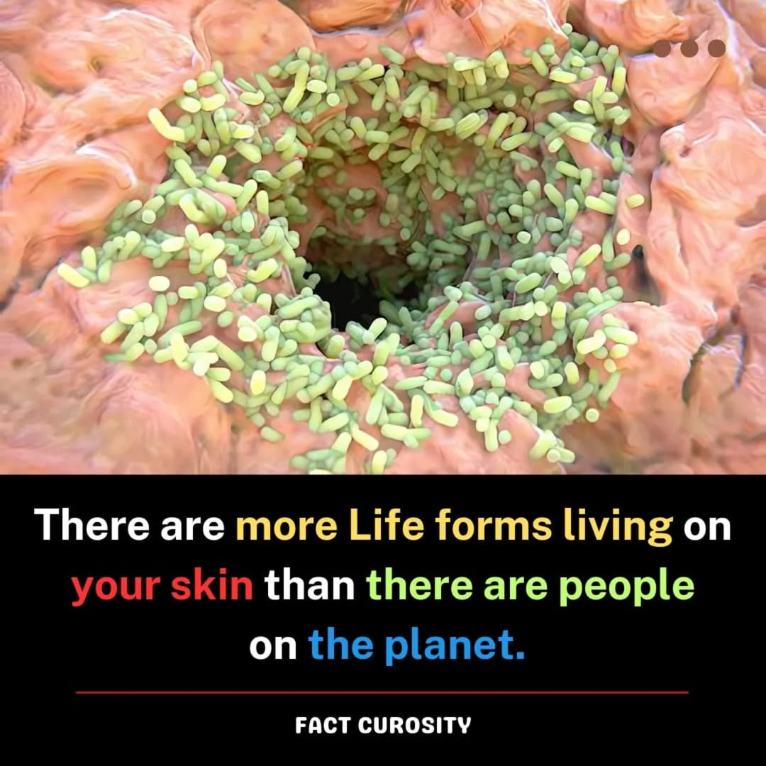 Exploring the Wonders of Life Forms