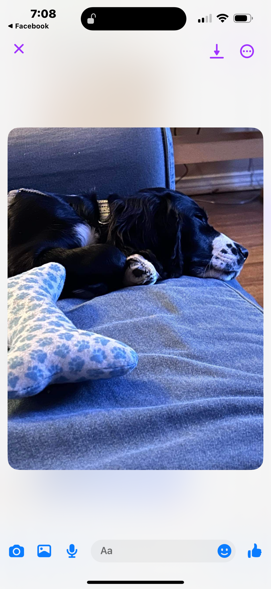 It's so adorable when they're all worn out, lol