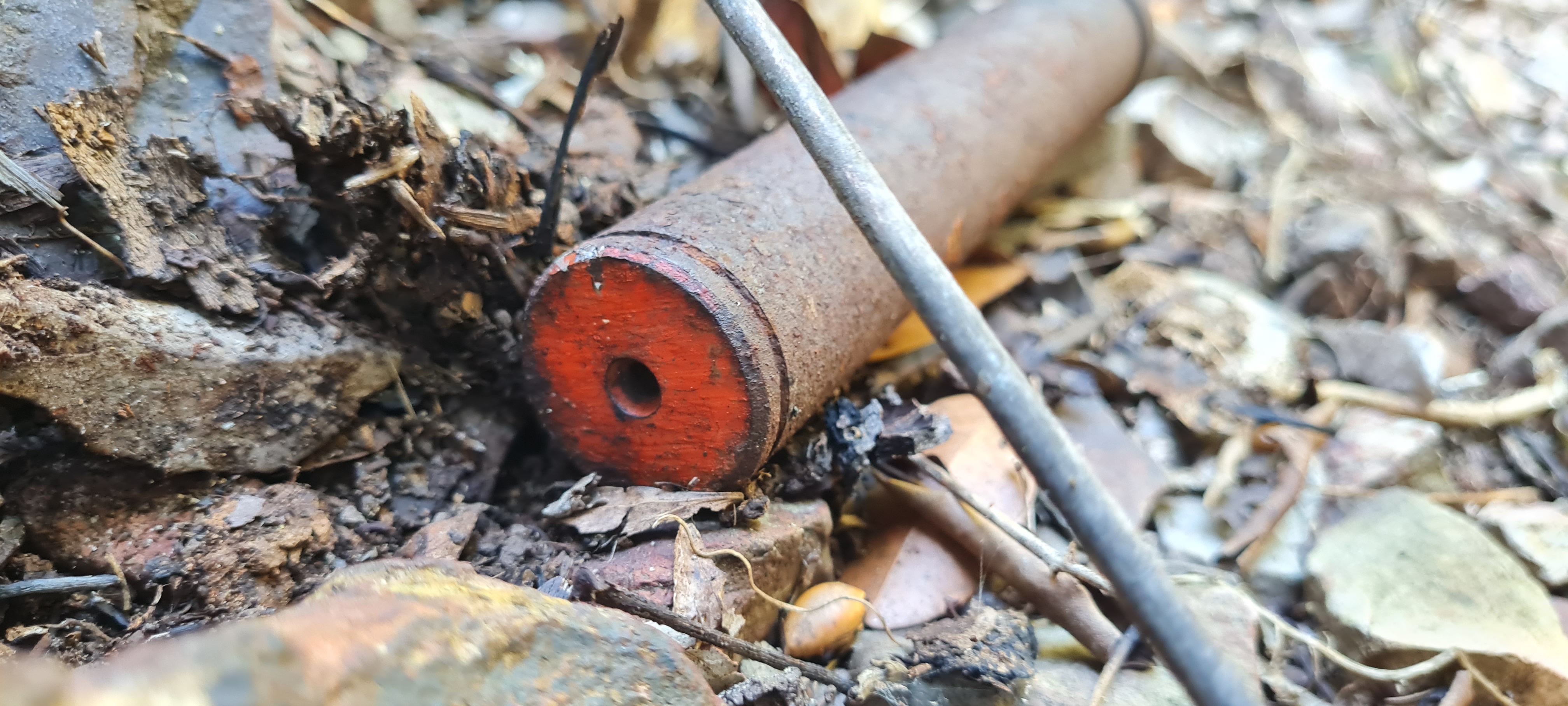 Strange Cylindrical Metal Discovered While Fossil Hunting