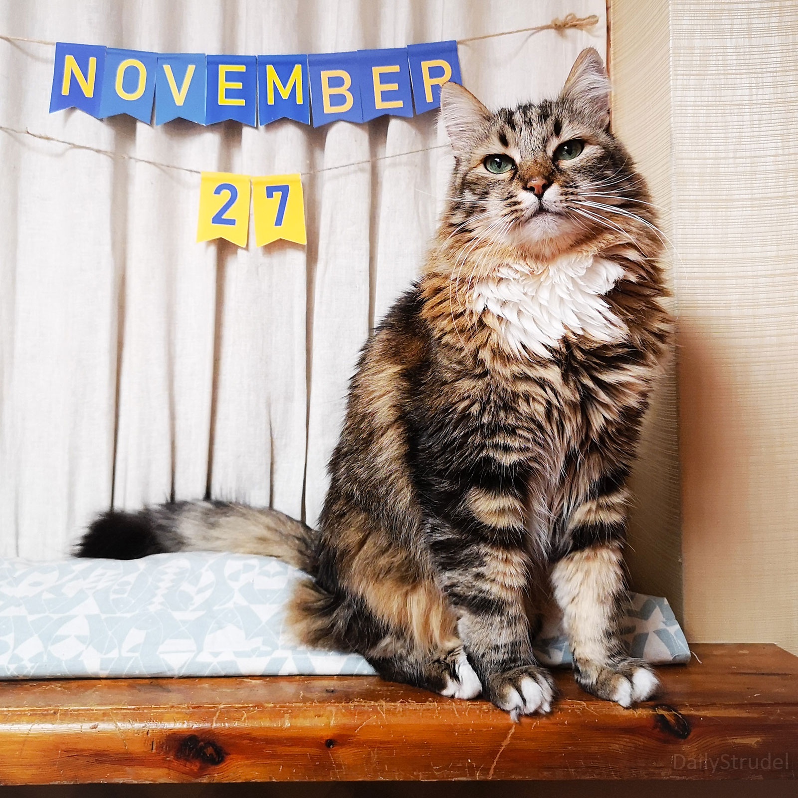 The Significance of November 27