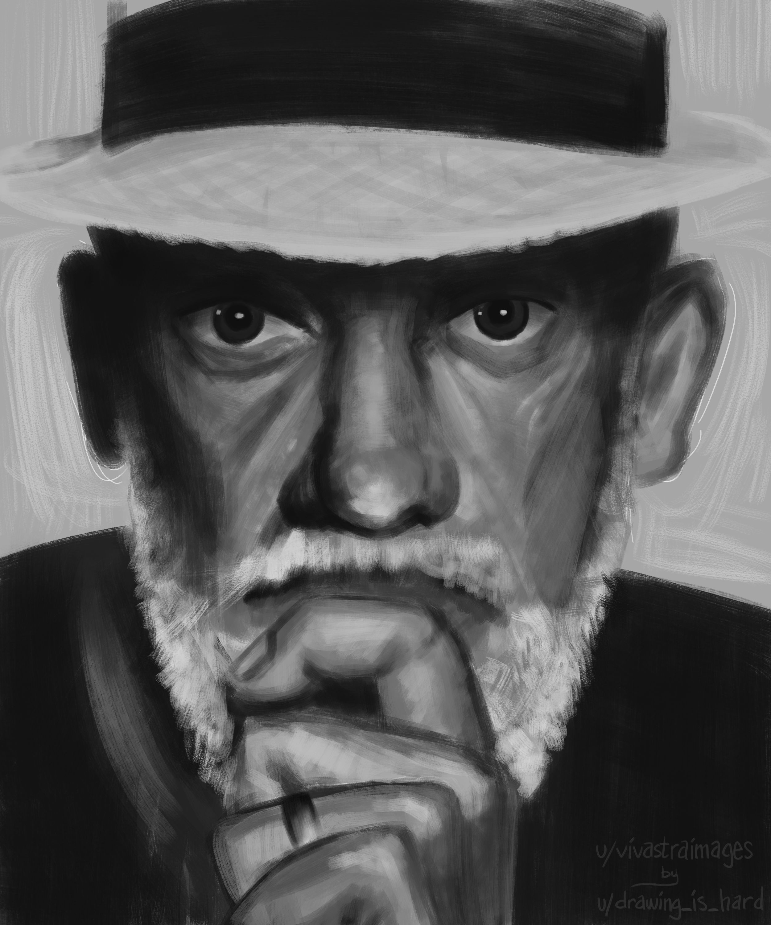 A Unique Portrait from Reddit's Creative Minds