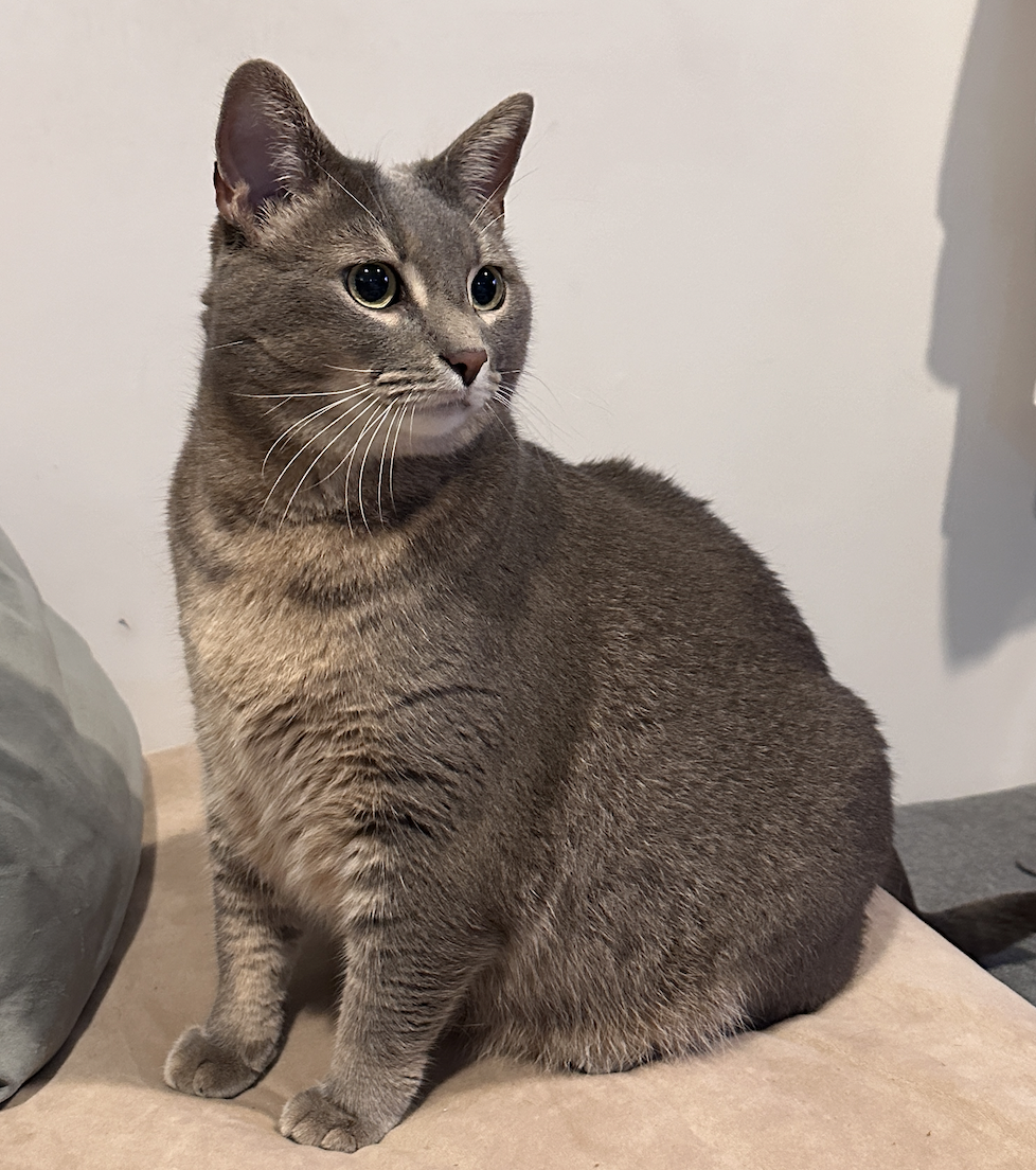 Otis! The name that brings a smile.