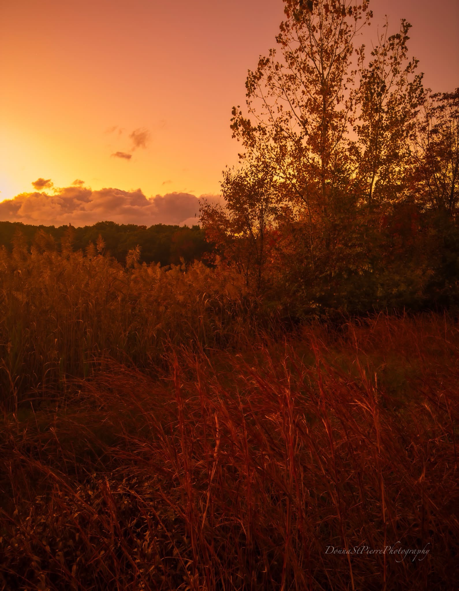 The Beauty of a New Sunrise