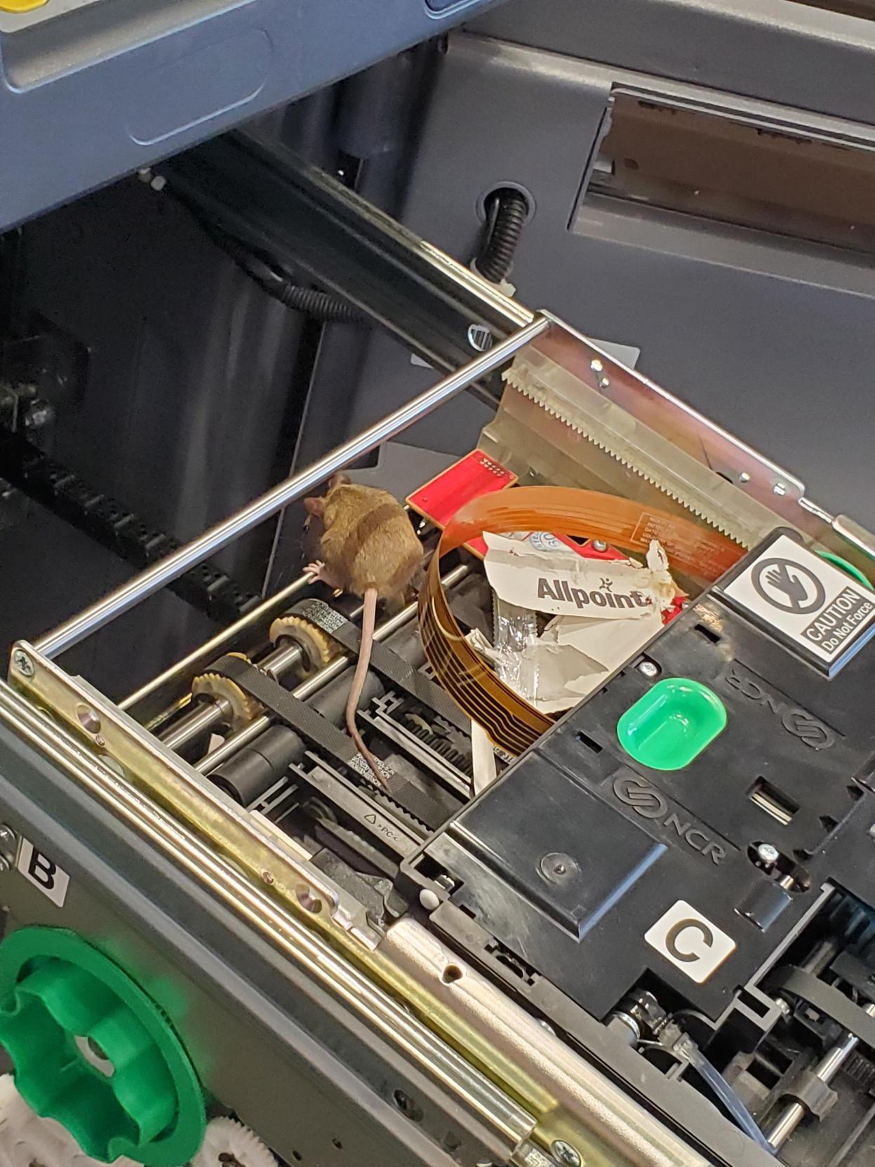 Eureka! I Finally Discovered Why It Stopped Working.