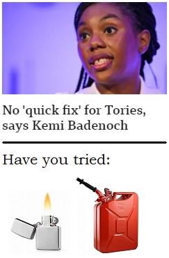 A Closer Look at the Tories