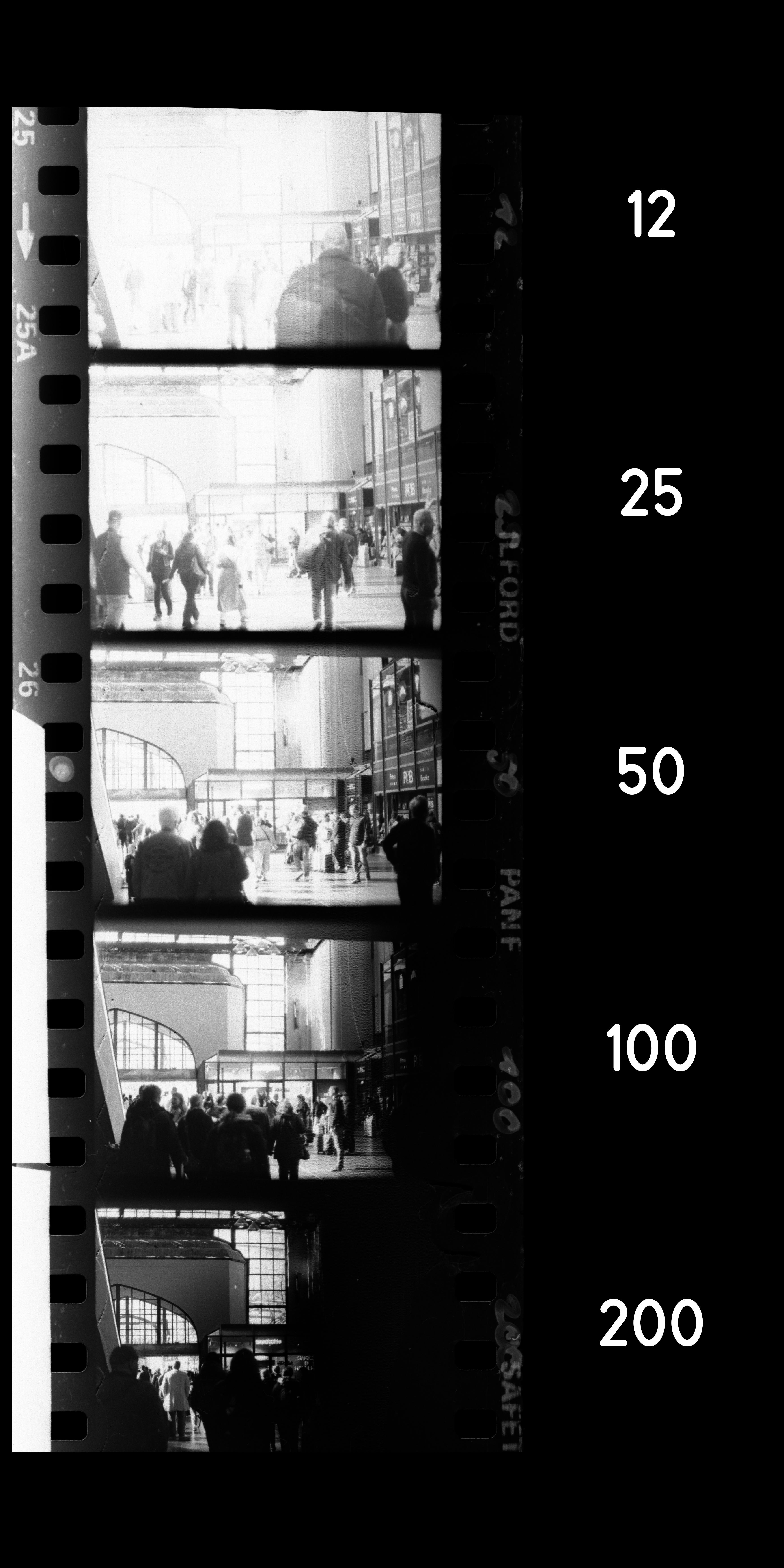 Testing the 1970s Ilford PAN F 50 Developed in Rodinal Stand (1+100)
