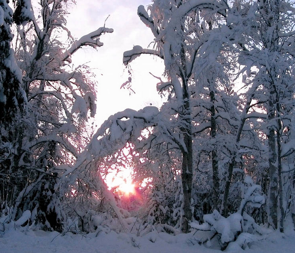 A bright and sunny winter day!