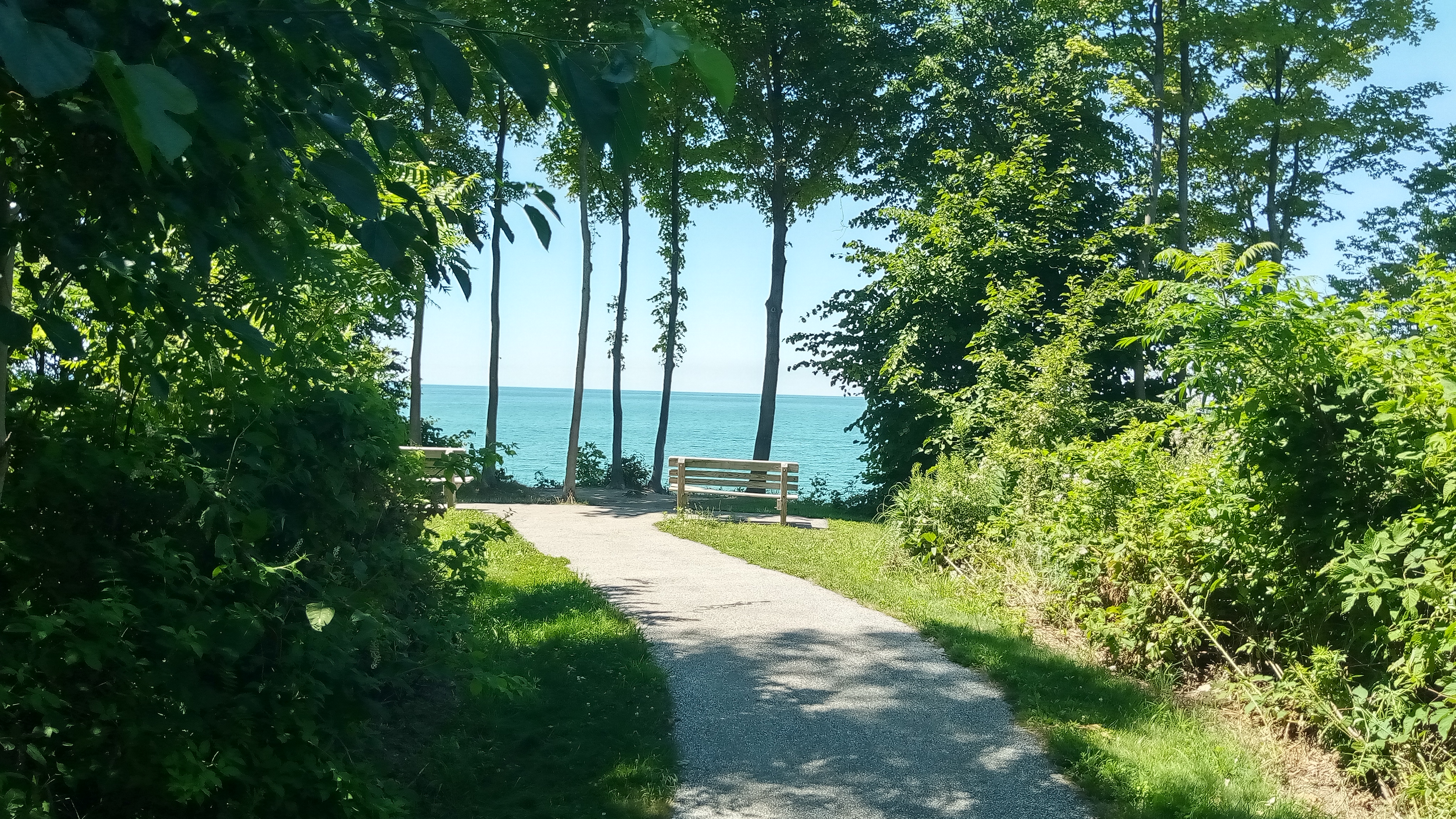 A Scenic Bench with a Stunning View