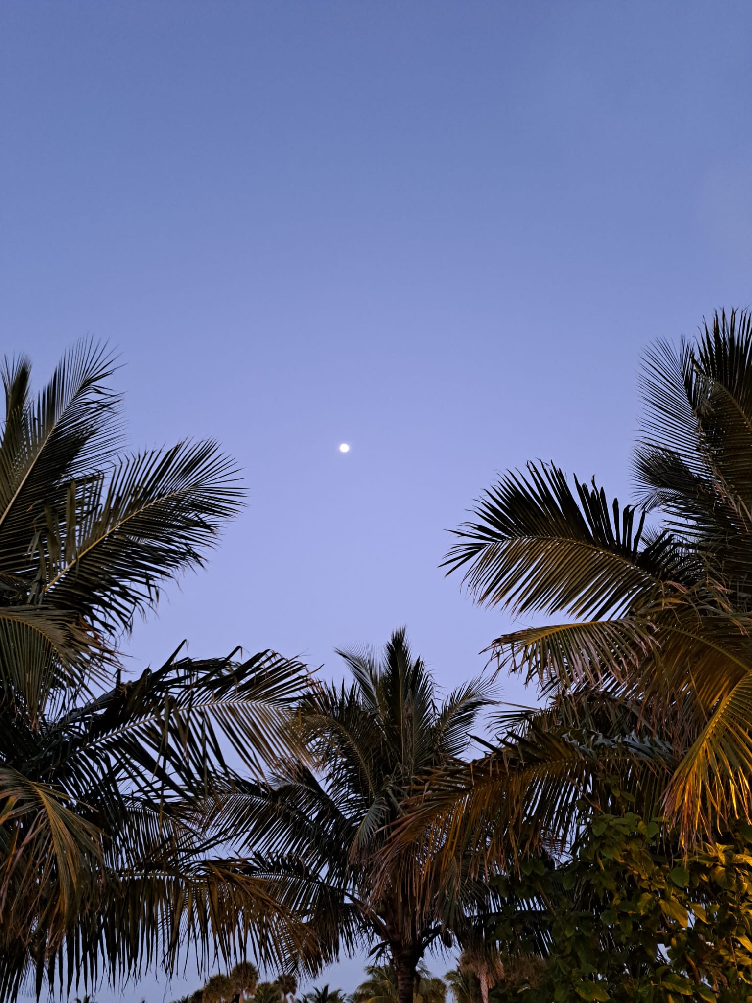 A breathtaking full moon over Ocean Cay, Bahamas