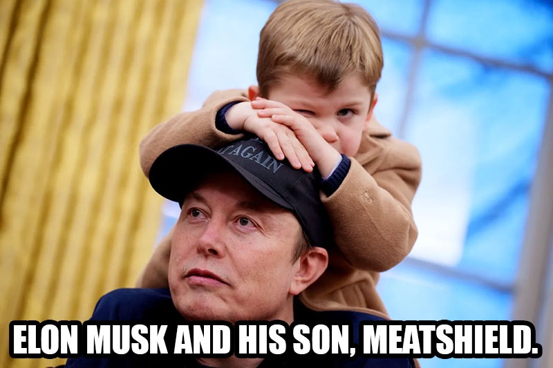 Musk: The Ultimate Meatshield