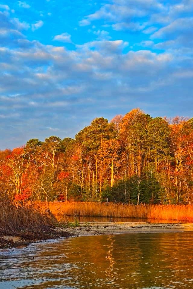 Celebrating the Splendor of Autumn