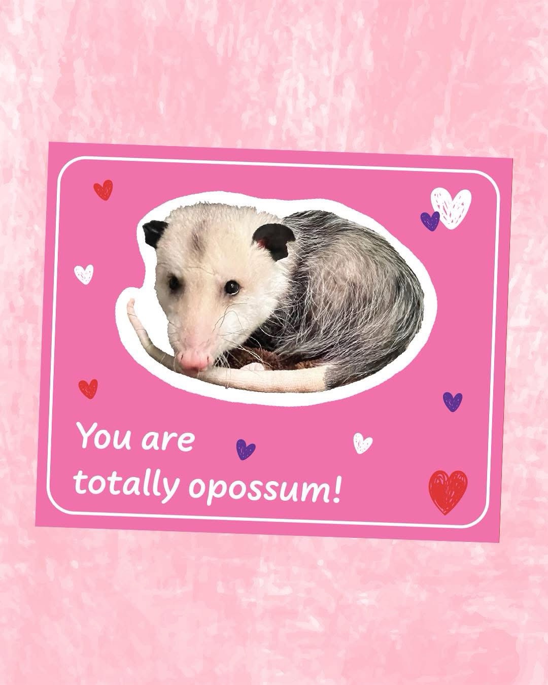 A (Mostly) Unhinged Collection of Valentine's Day Gems