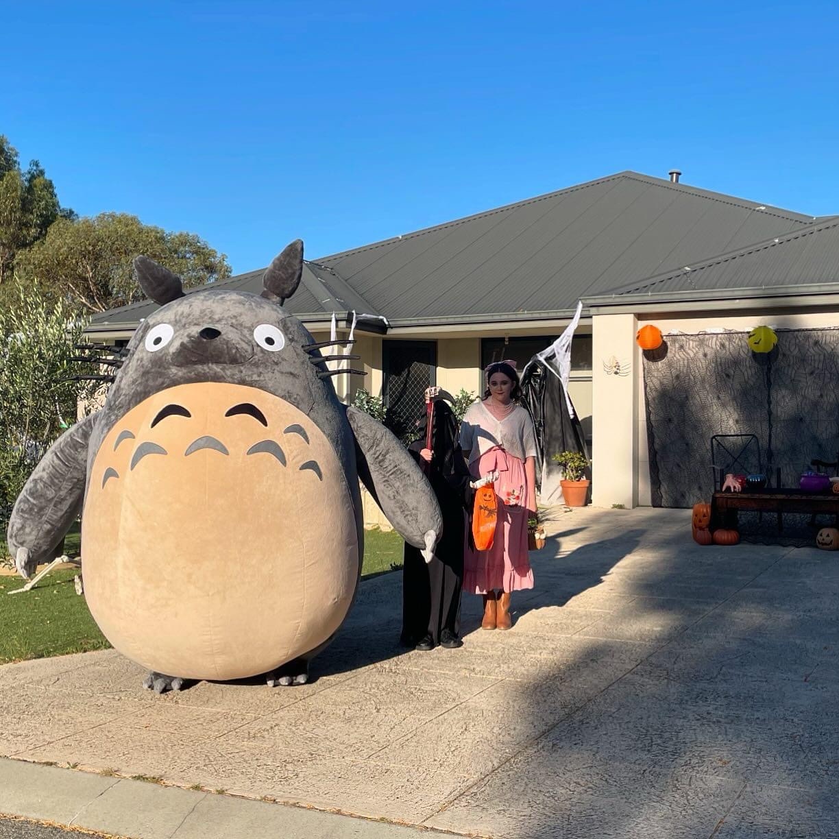 Get Ready for Halloween 2024: Tororo Takes Center Stage!