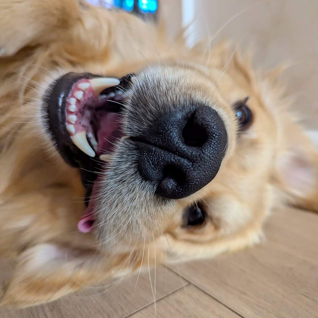 HI DERE: A Friendly Greeting!