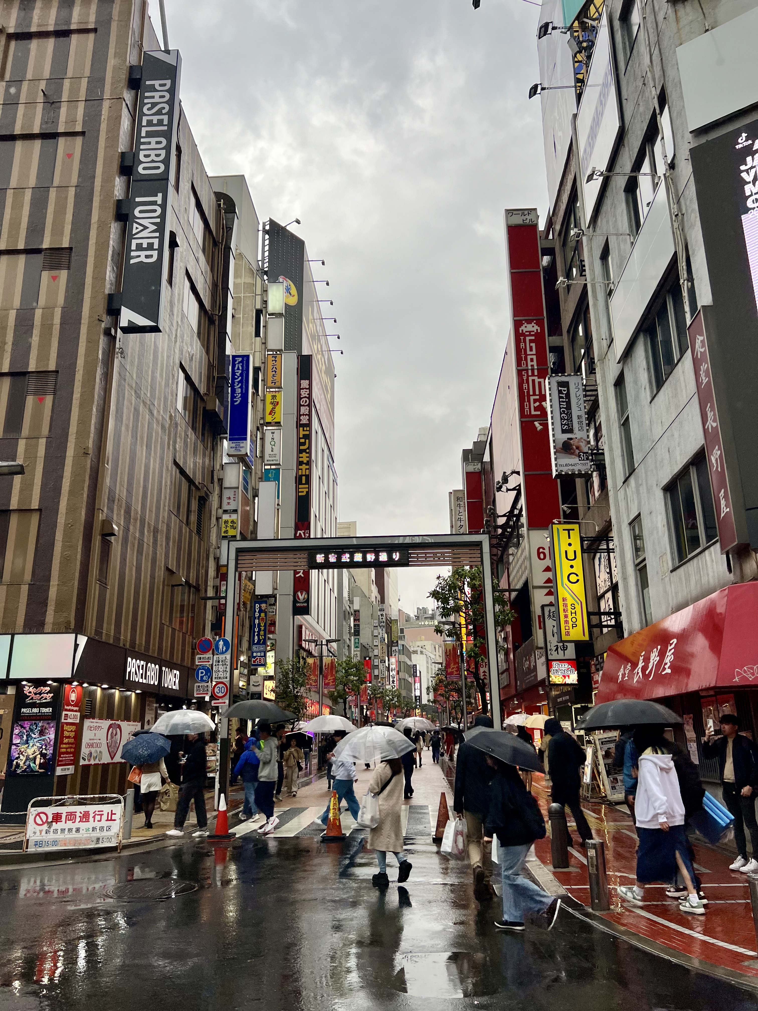 A Journey Through Japan: Culture and Wonders