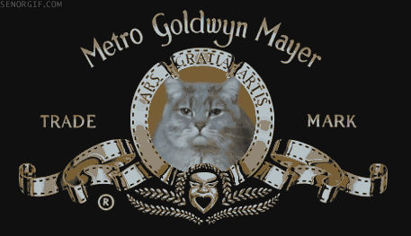 Dive into Nostalgia with Our Retro Gif Collection: Part 11