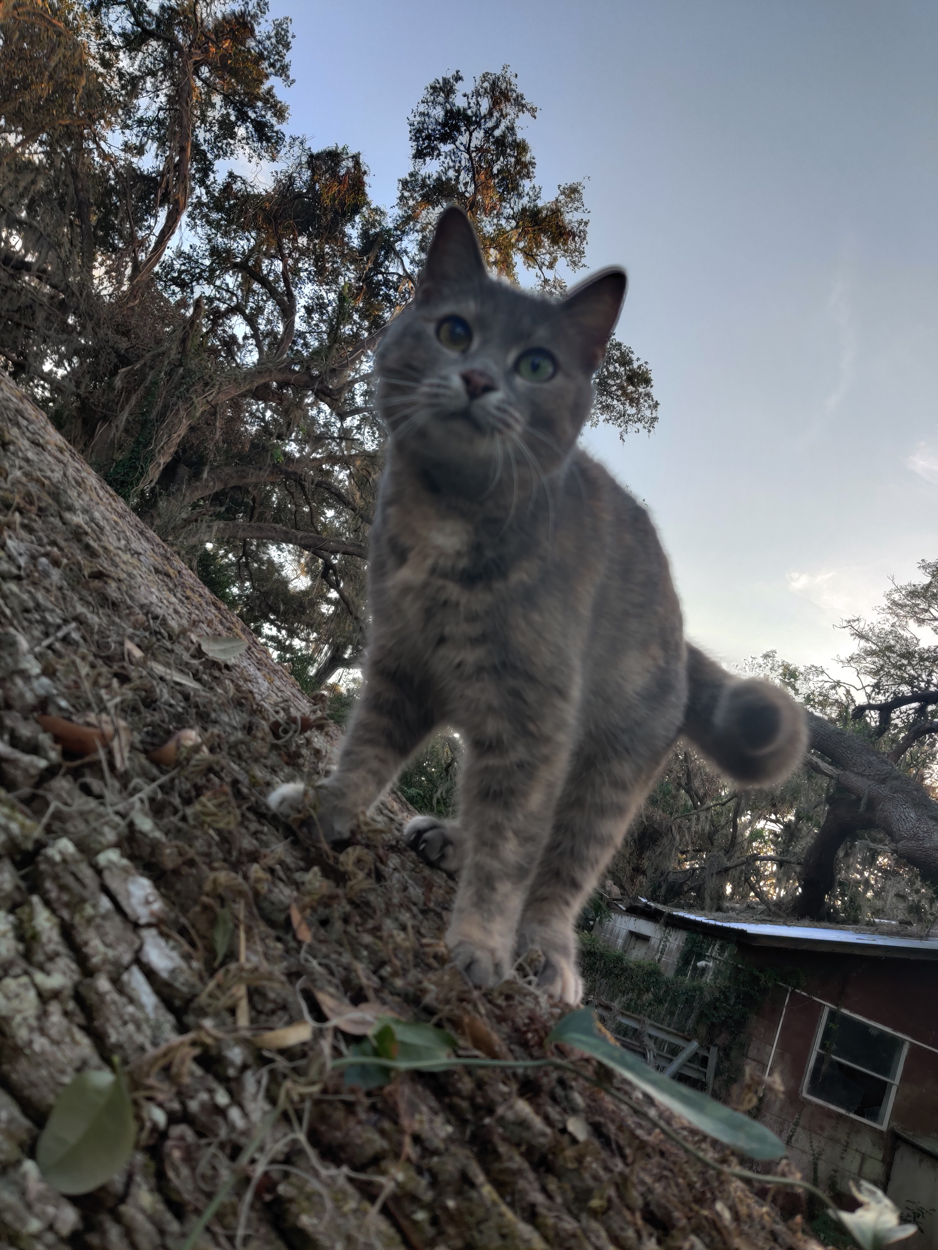 Leah: Captured in a Better Light