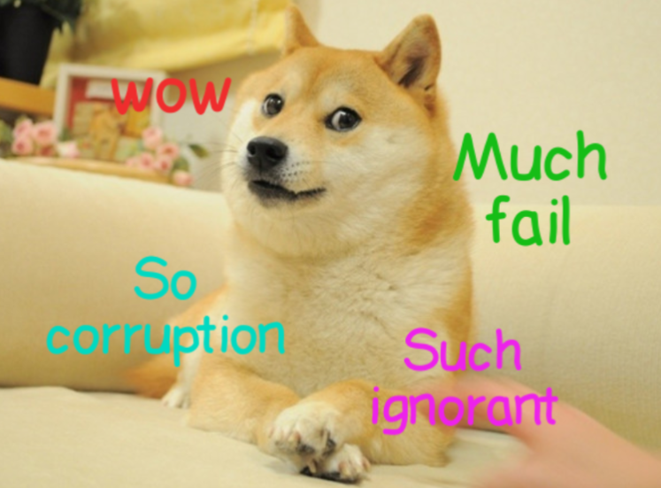 Introducing the latest sensation: The new DOGE!