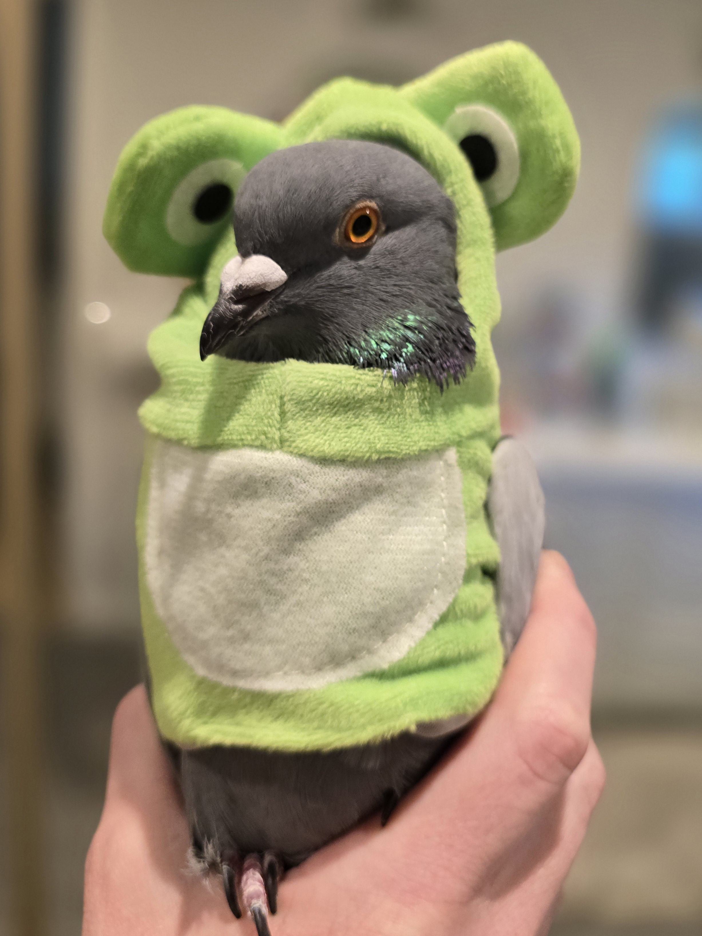 Hippity Hoppity, Your Bread is Now My Property!