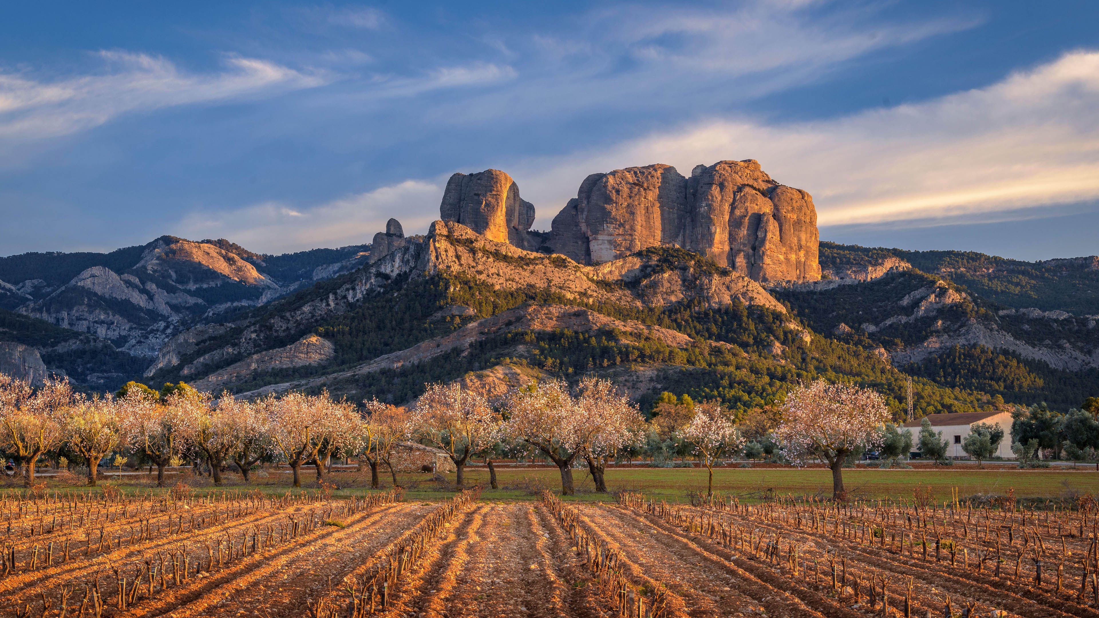 Where Crags Embrace Agriculture