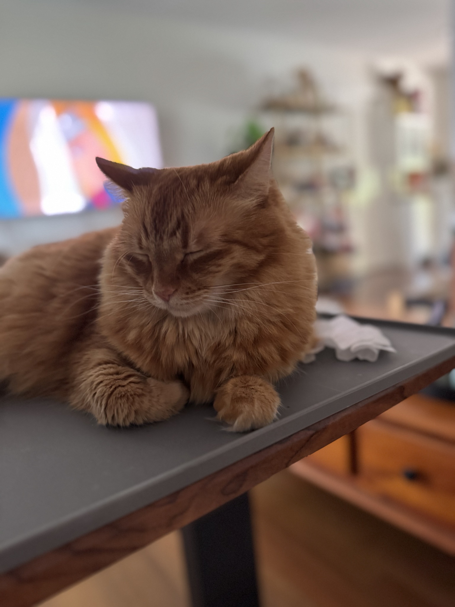 Toph's Journey: Day 135 and Counting
