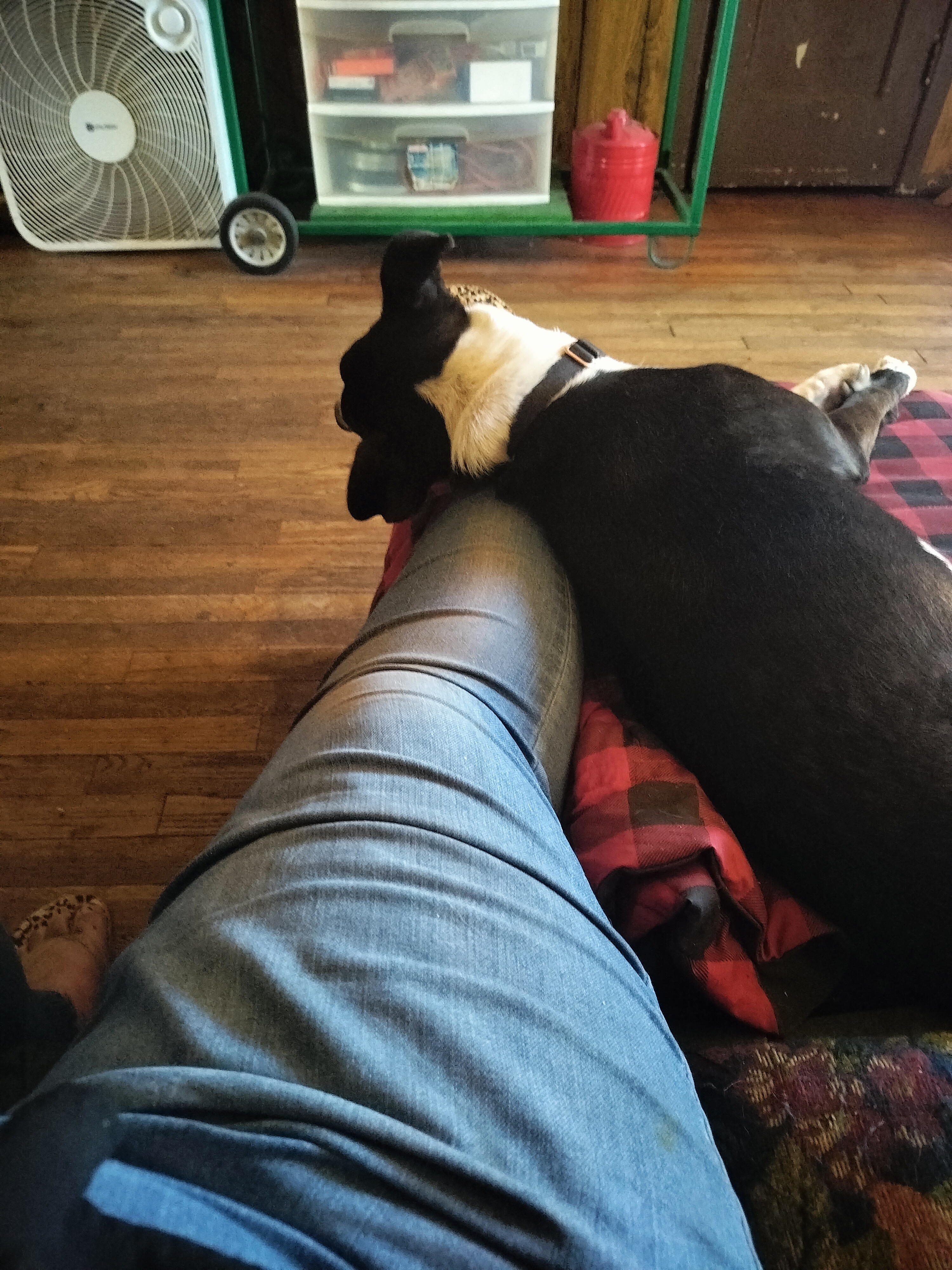 To Them, We're Just Cozy Human Pillows