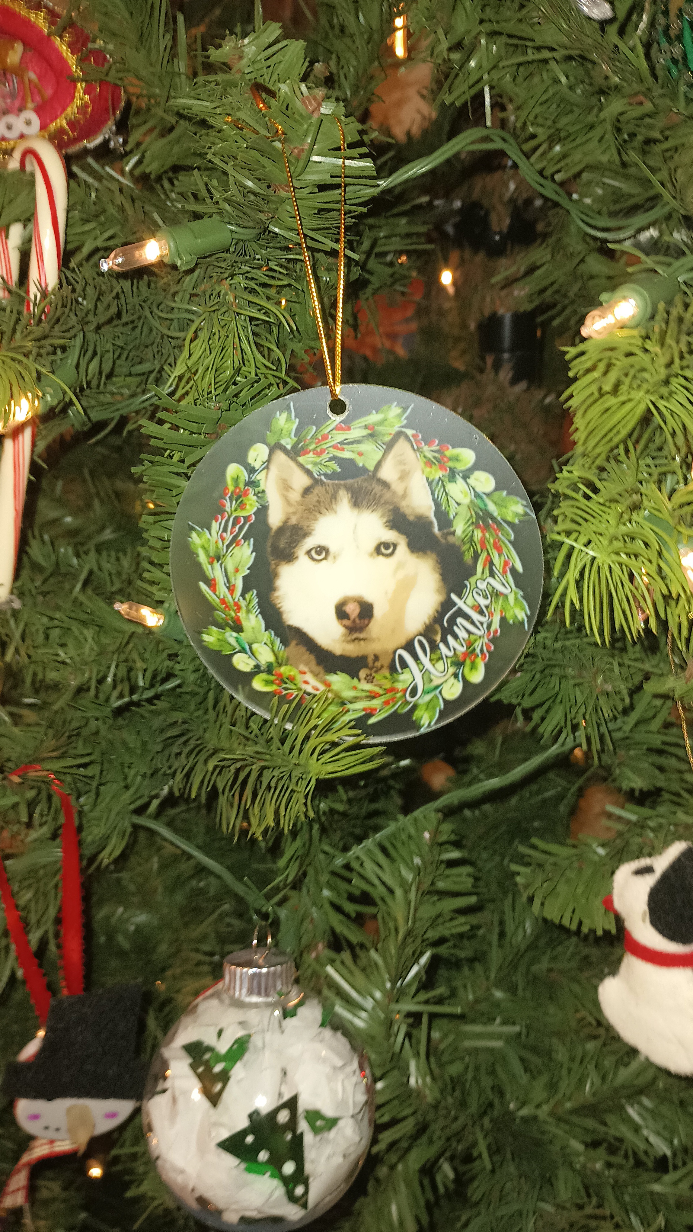 Celebrating My Best Boy's First Christmas After Rescue