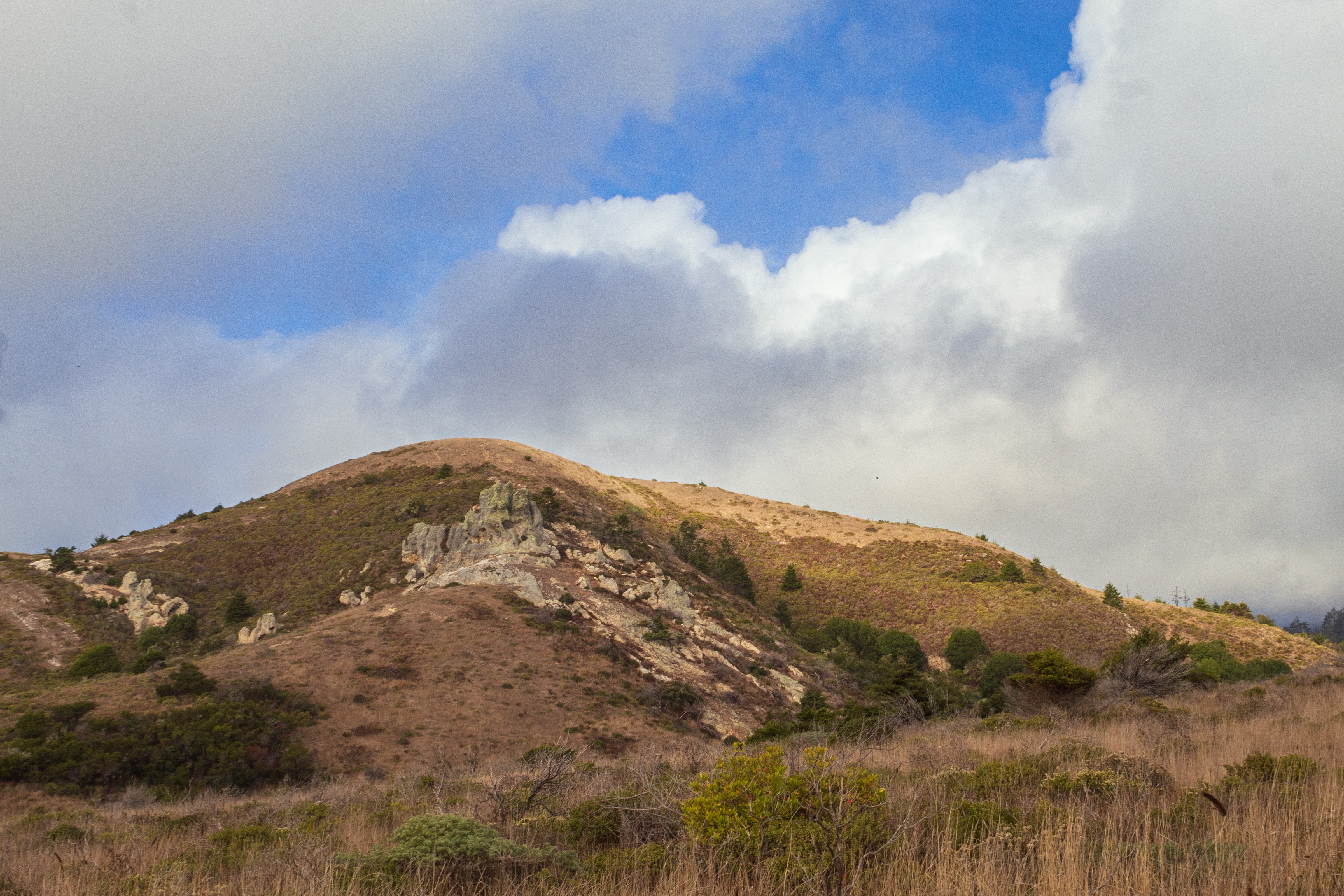 Exploring the beauty of Point Reyes, California.