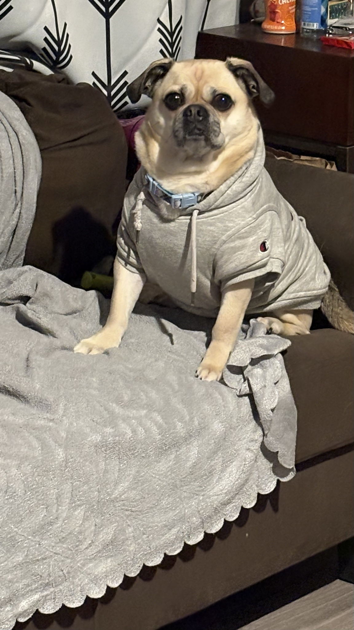 Can I lend a hand? - Yo-yo the Chug