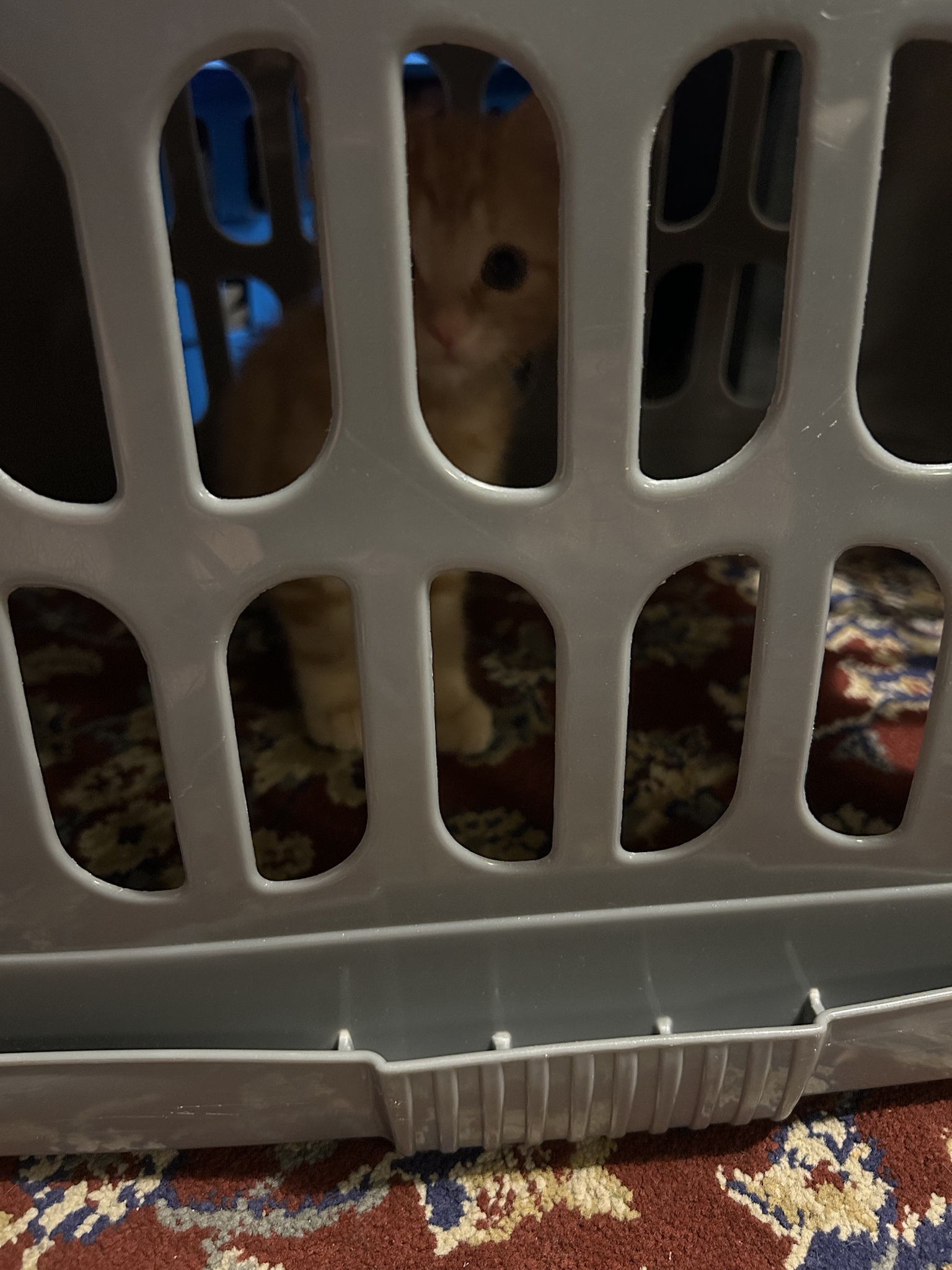 Tanjiro's Unfortunate Habit of Ending Up in Jail