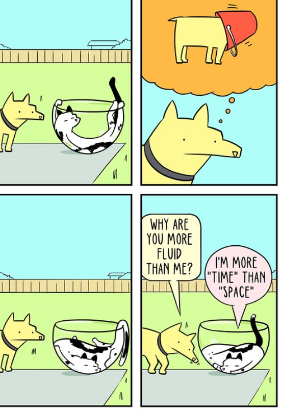 What Makes Cats So Incredibly Soft?