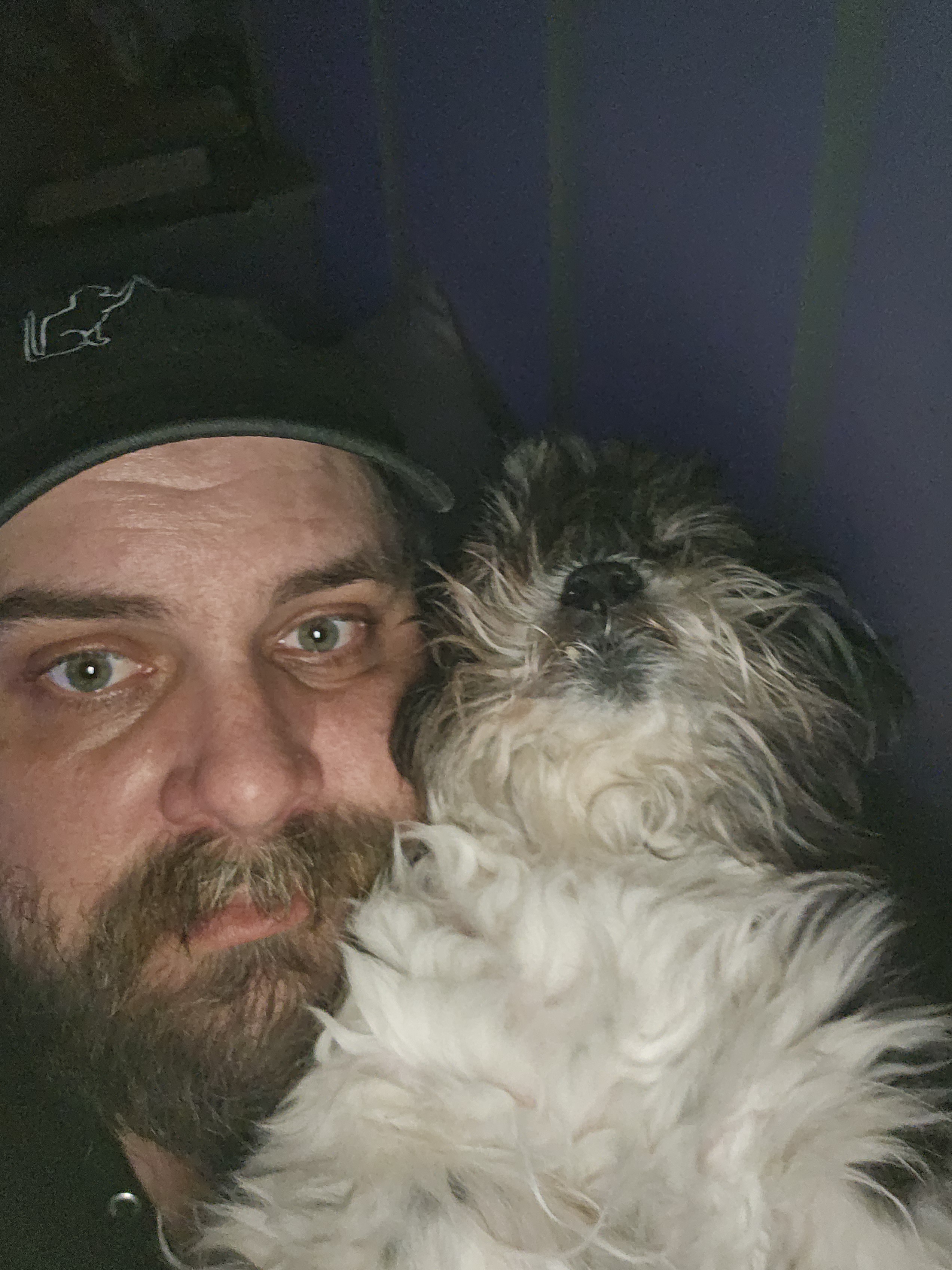 Peter truly is the most amazing dog ever!