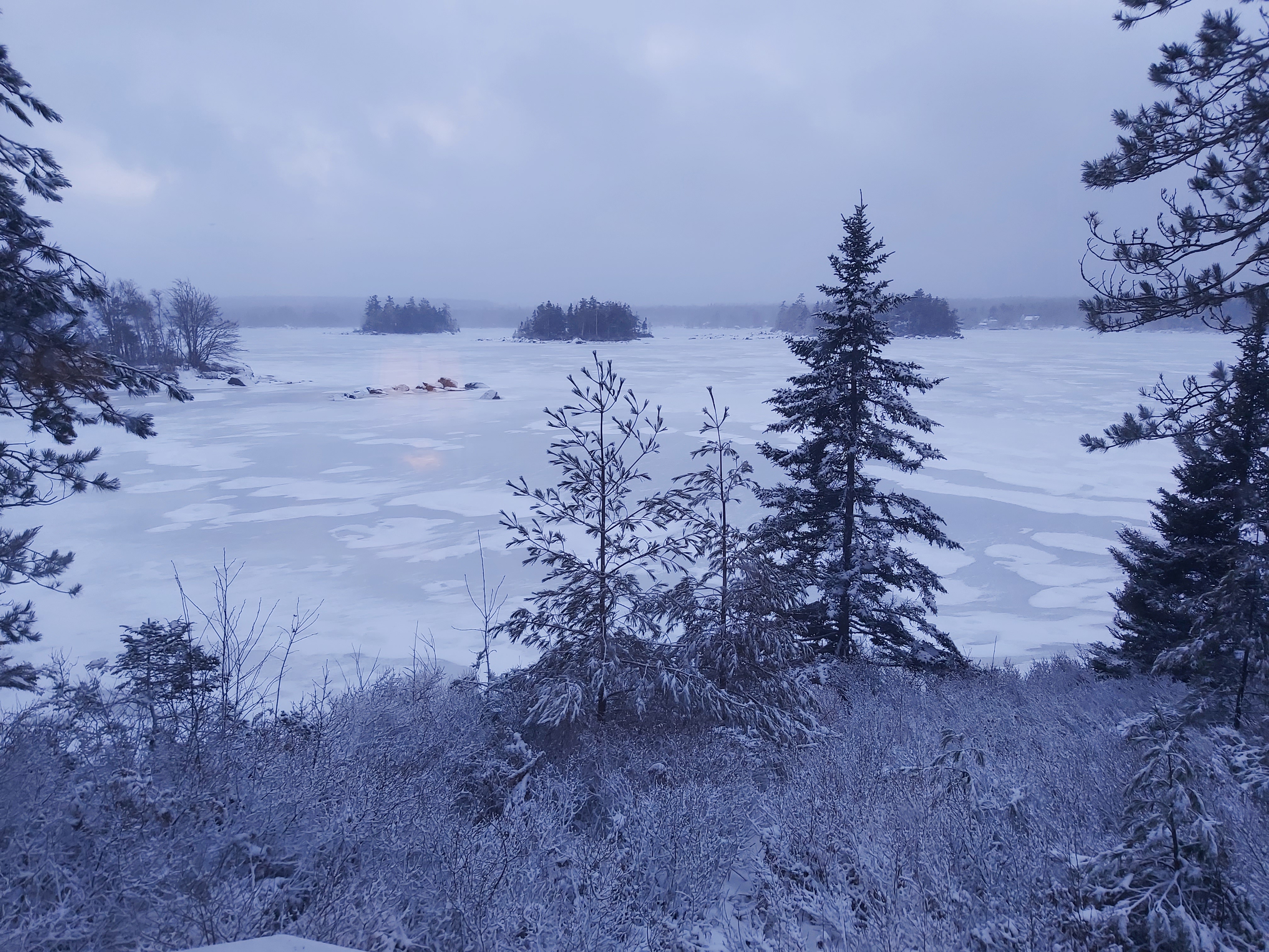 From Cold to Bitterly Cold: The Weather Takes a Turn