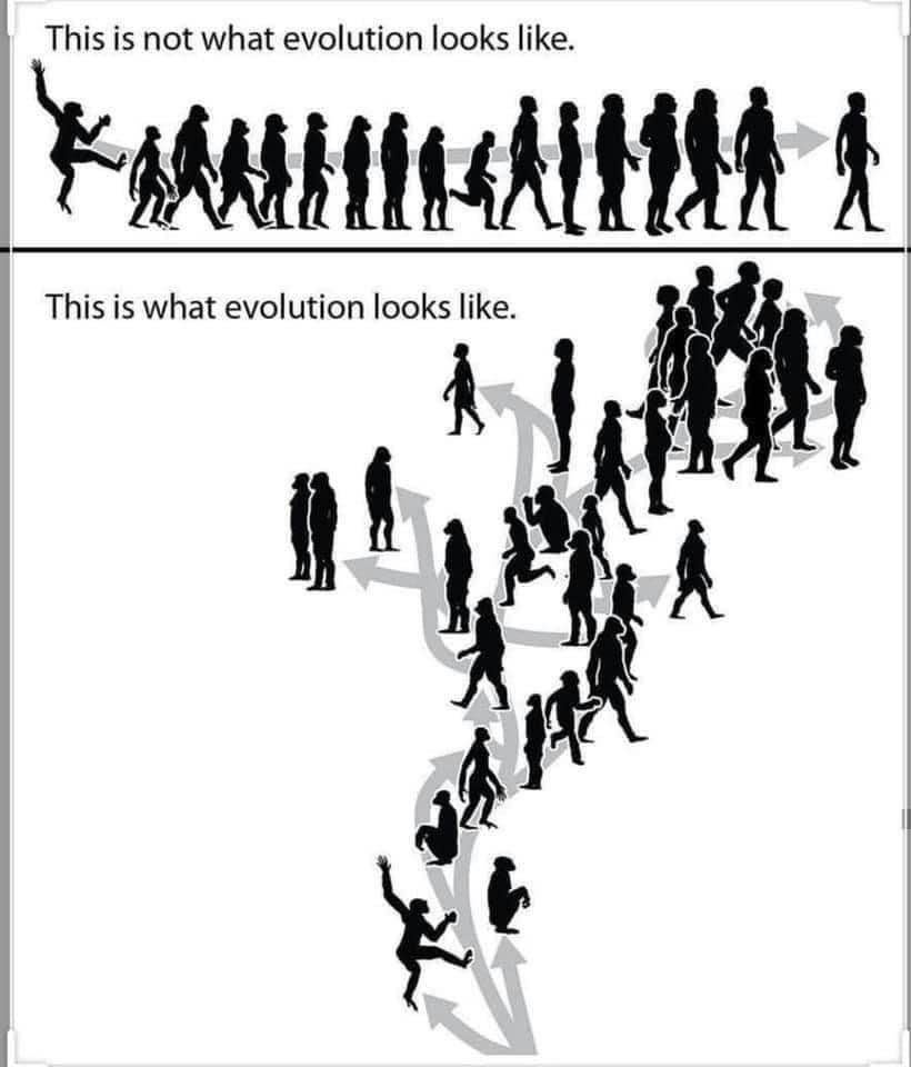 More Textbooks and Media Should Highlight This Second Graph!