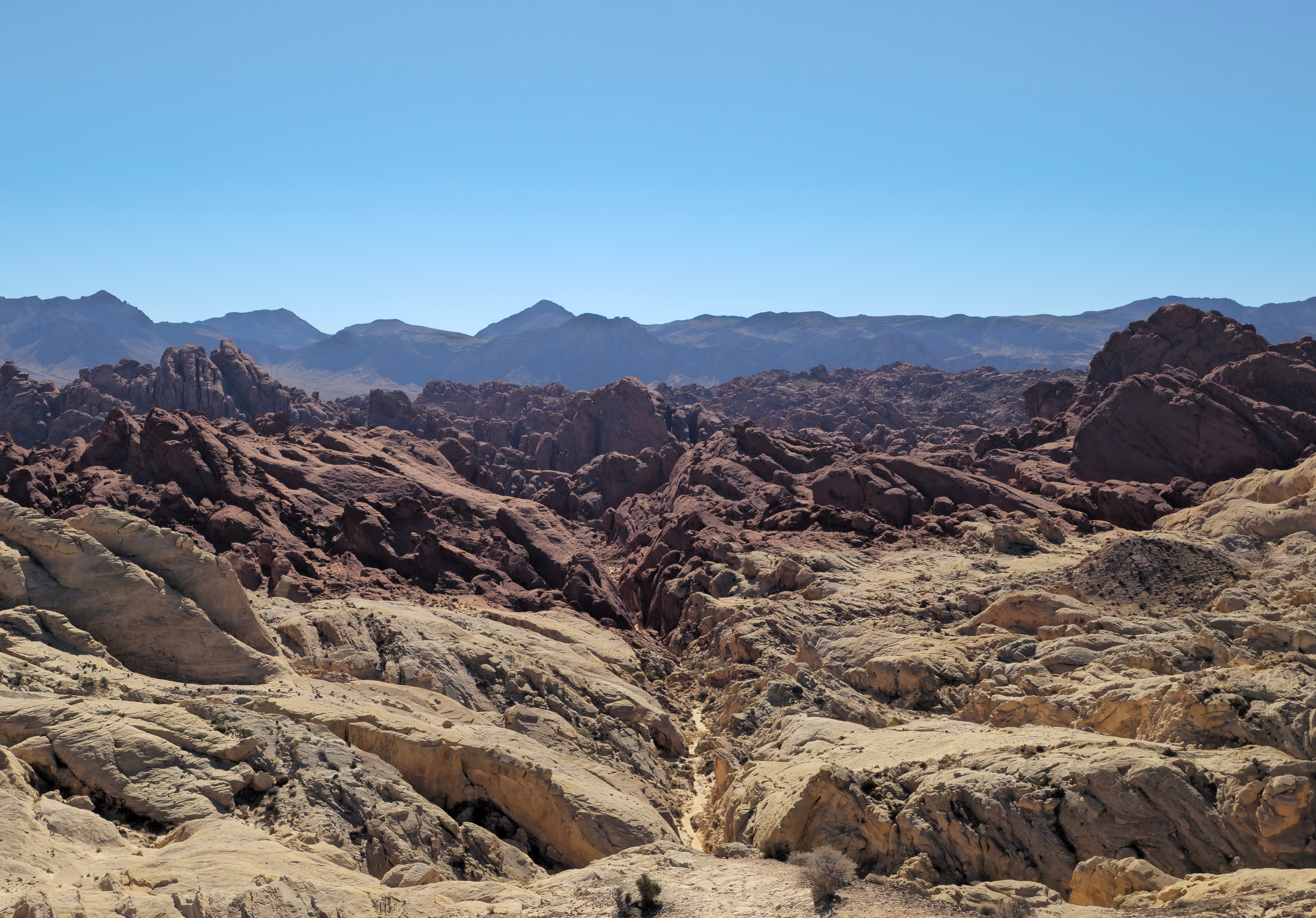 Exploring Fire Canyon and Silica Dome in Nevada's Valley of Fire