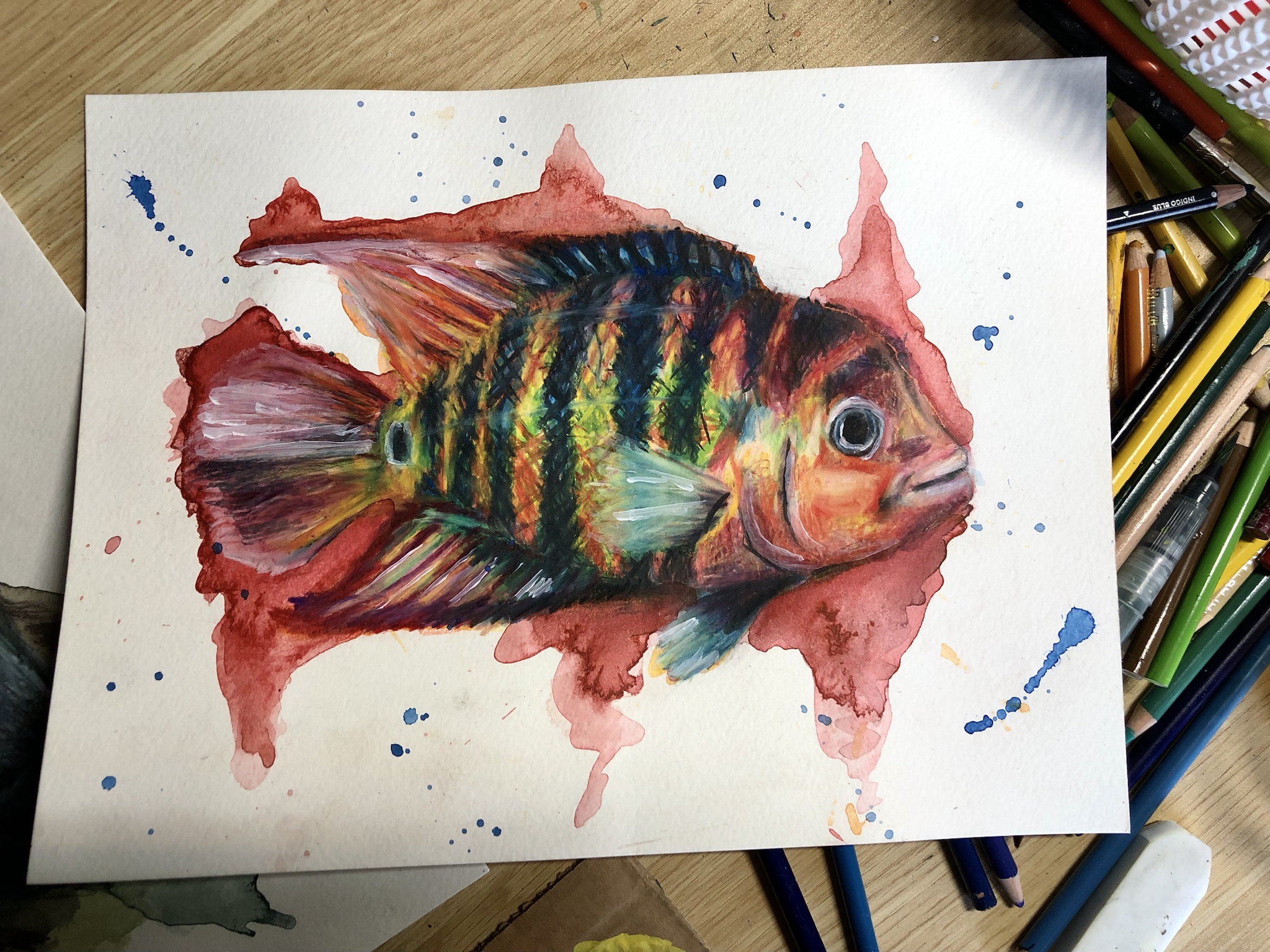 My Artistic Take on a Cichlid