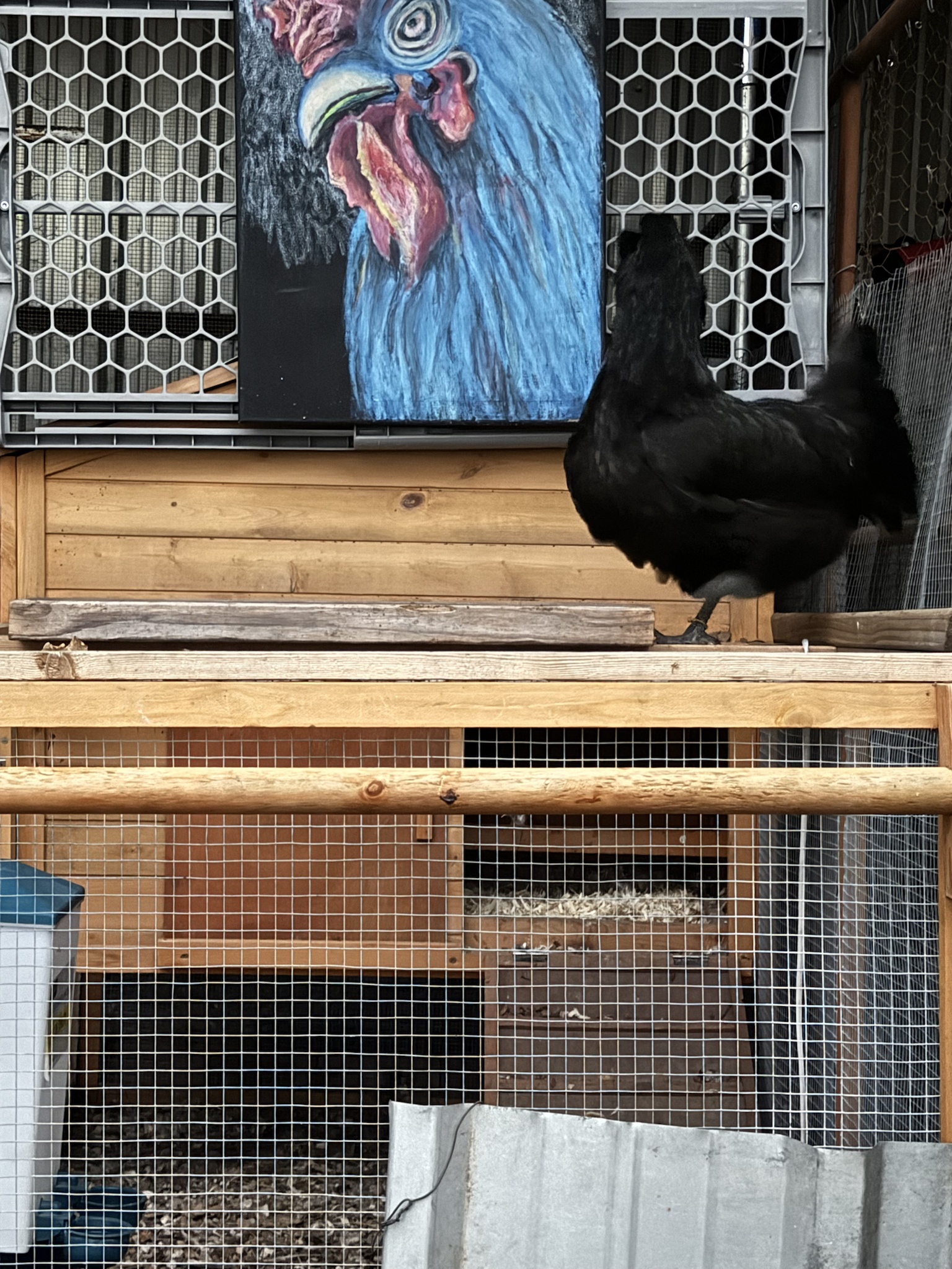 Facing New Challenges for Roof Roosting