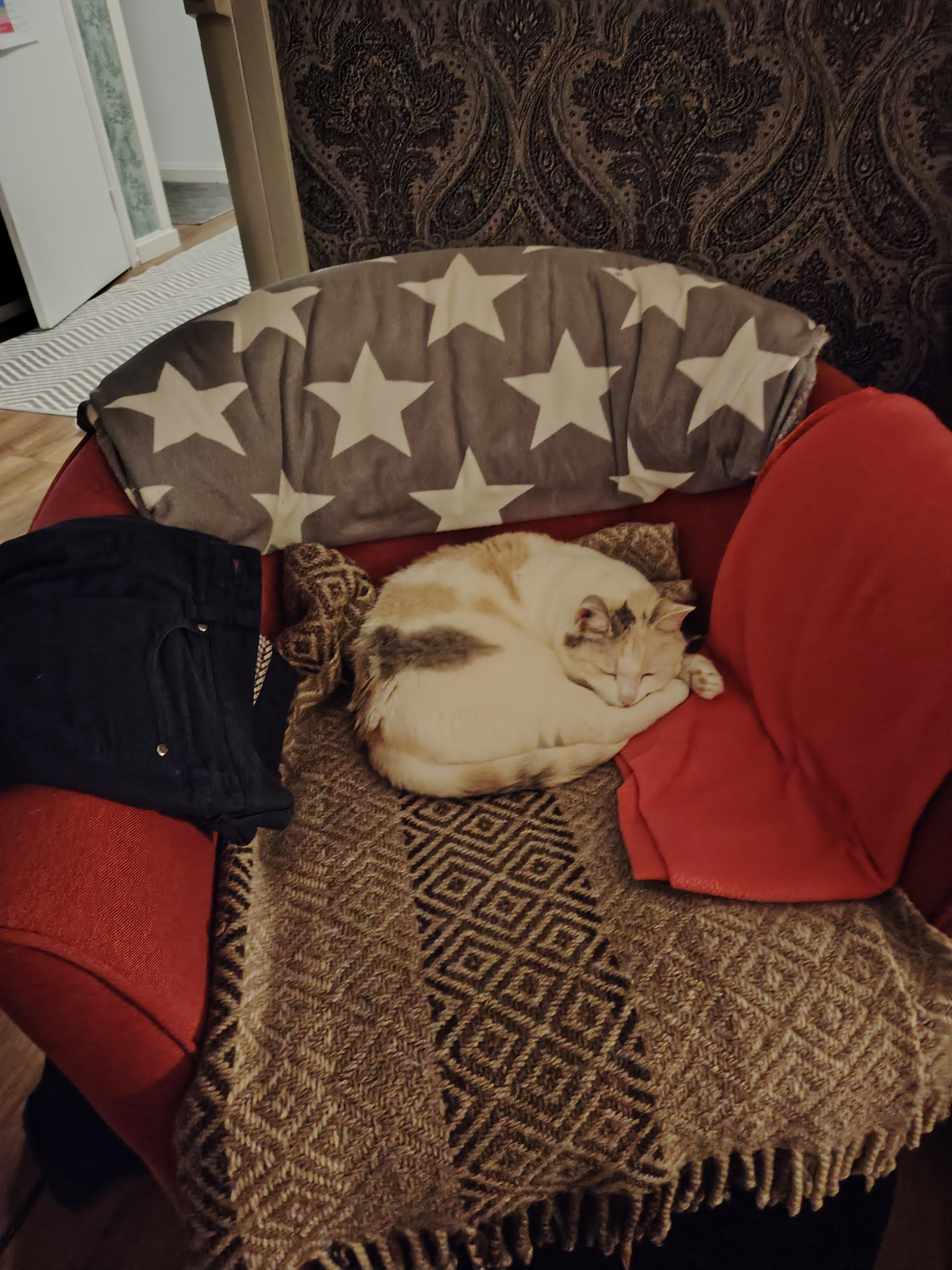 Wishing You a Joyful Early Caturday Celebration!