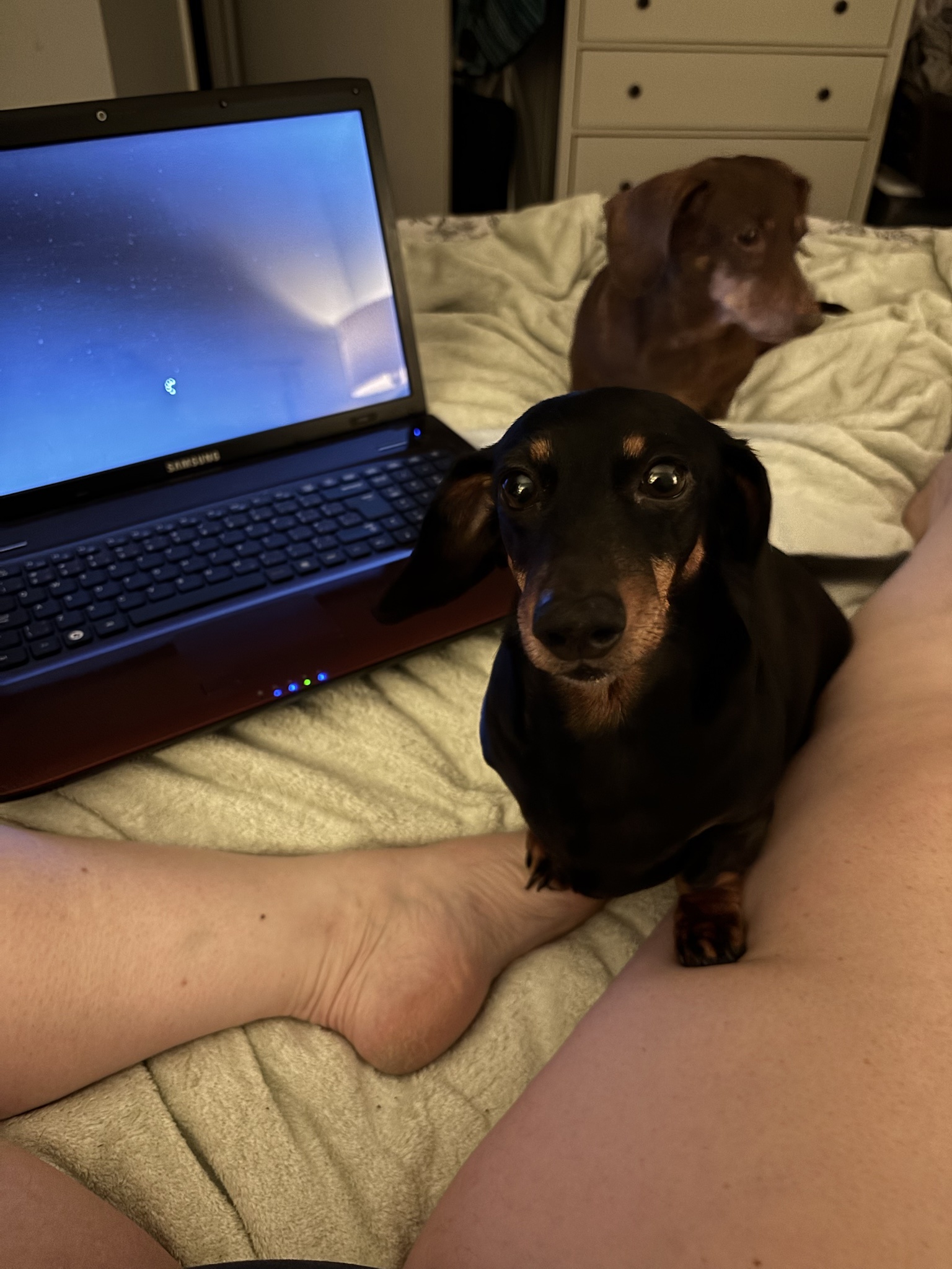 Are We Actually Going to Get Some Work Done?
