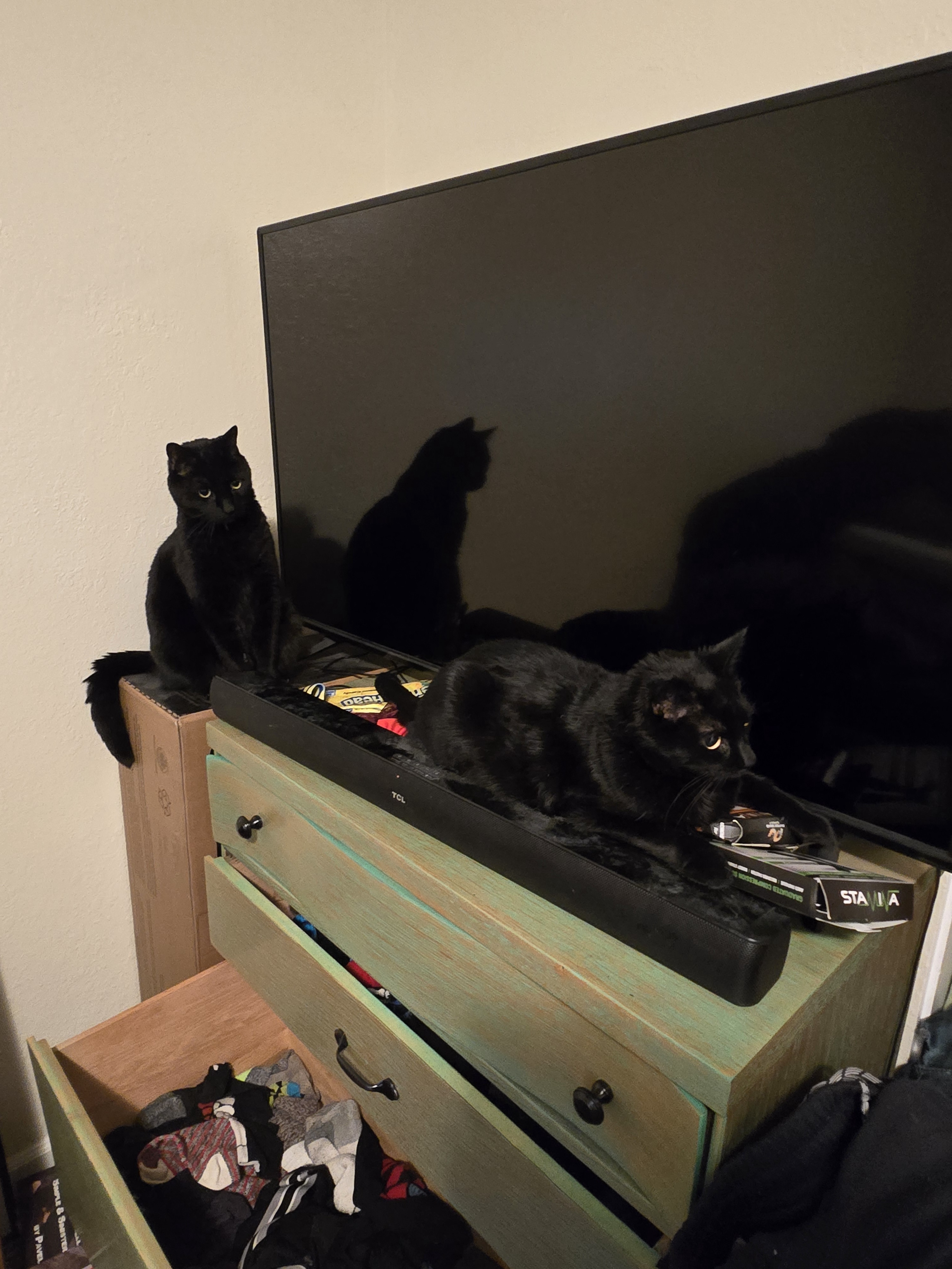 My Crew for Friday the 13th Adventures